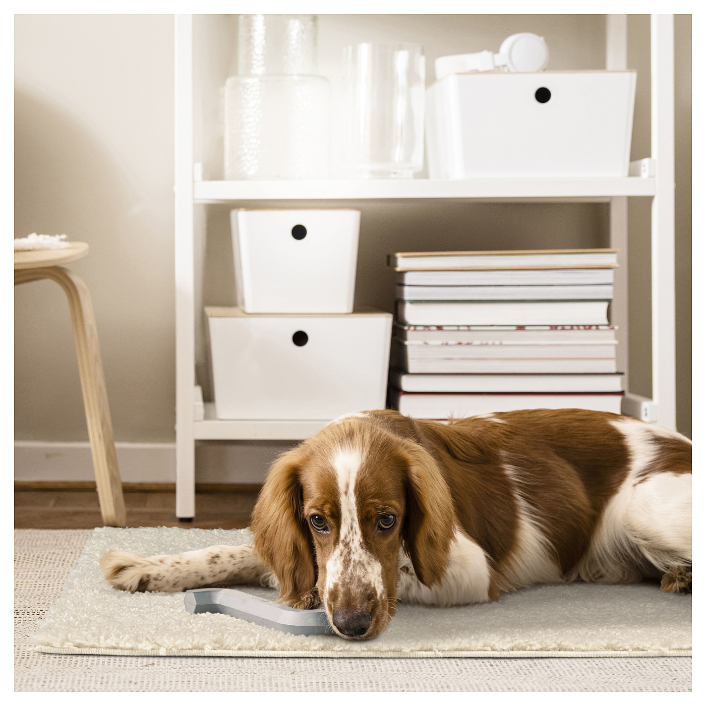ÄRENDE rug, high pile off-white - IKEA