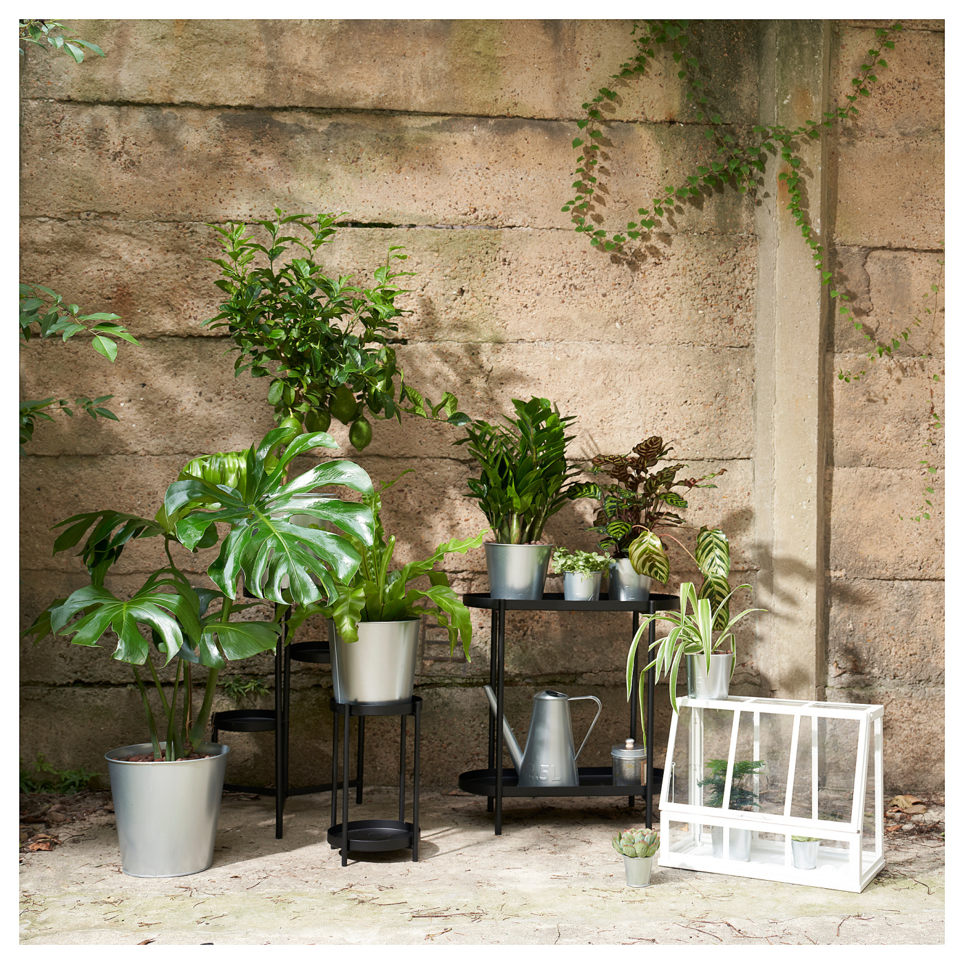 ÅKERBÄR greenhouse in/outdoor/white - IKEA