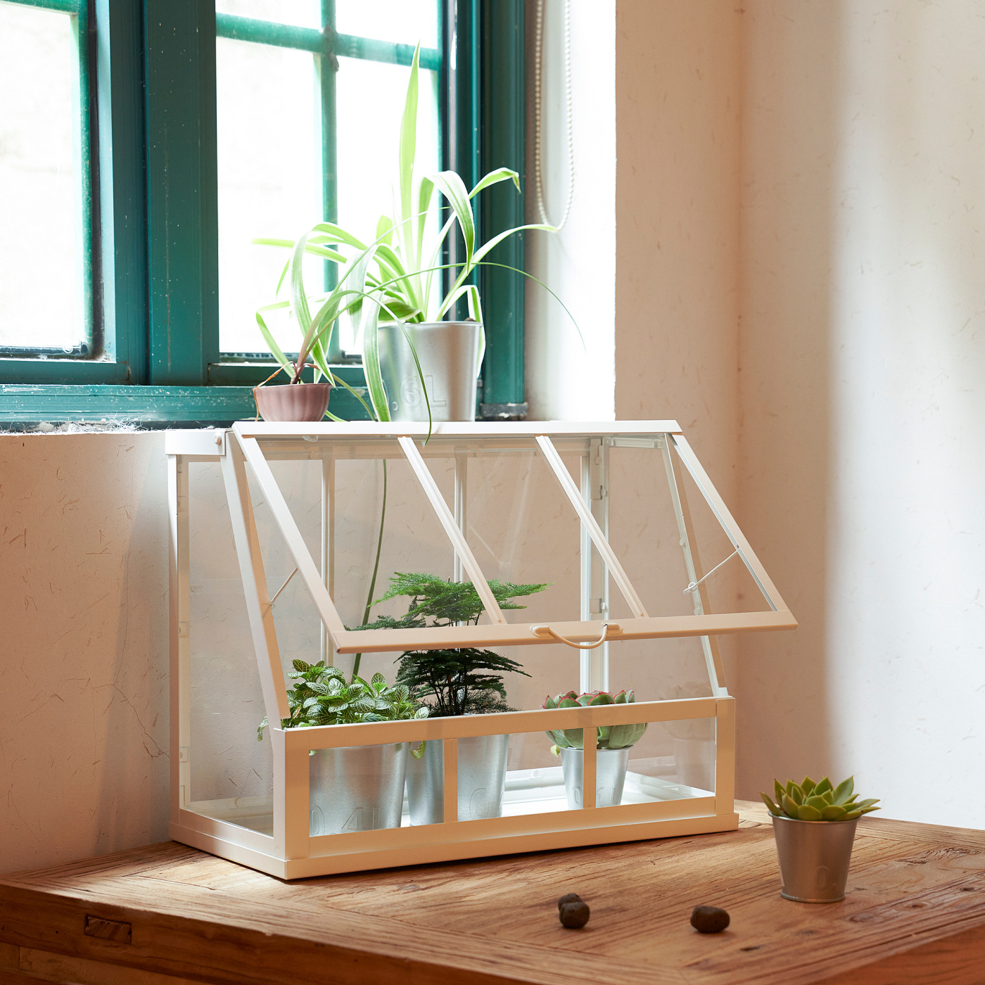 ÅKERBÄR greenhouse in/outdoor/white - IKEA
