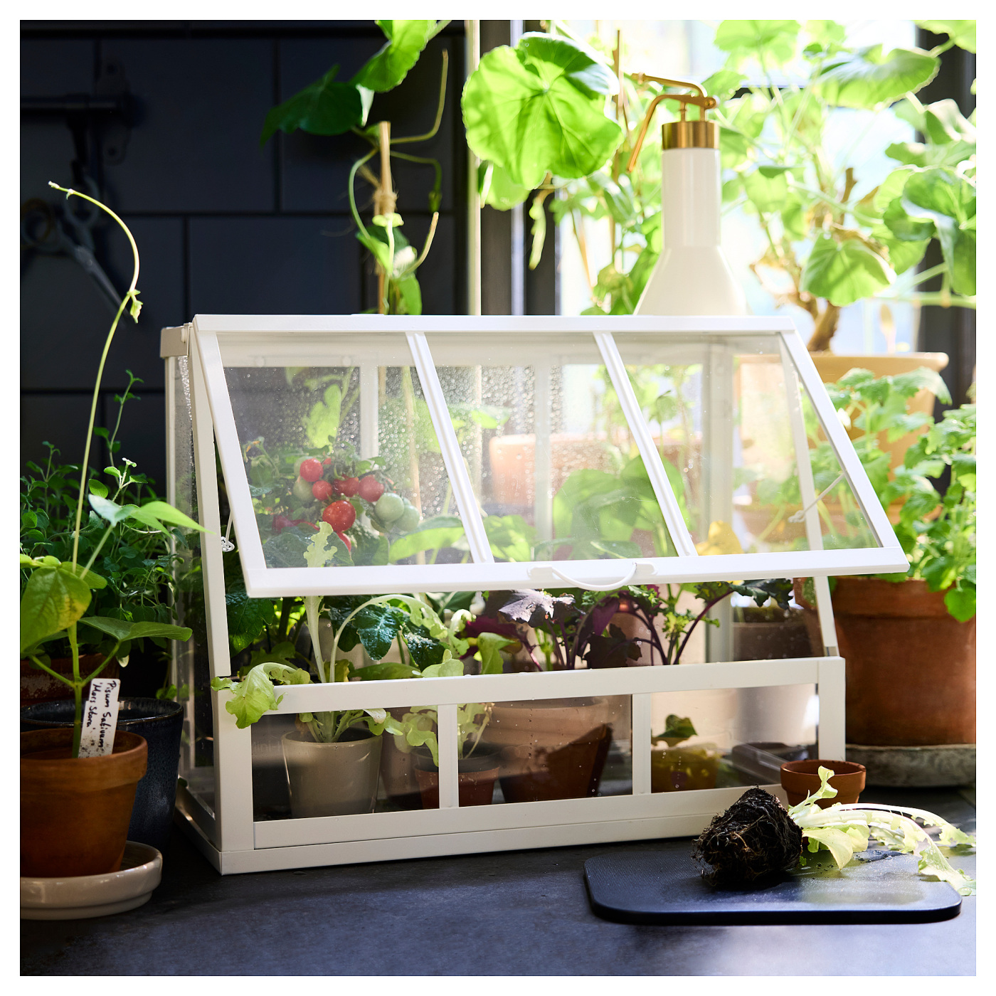 ÅKERBÄR greenhouse in/outdoor/white - IKEA
