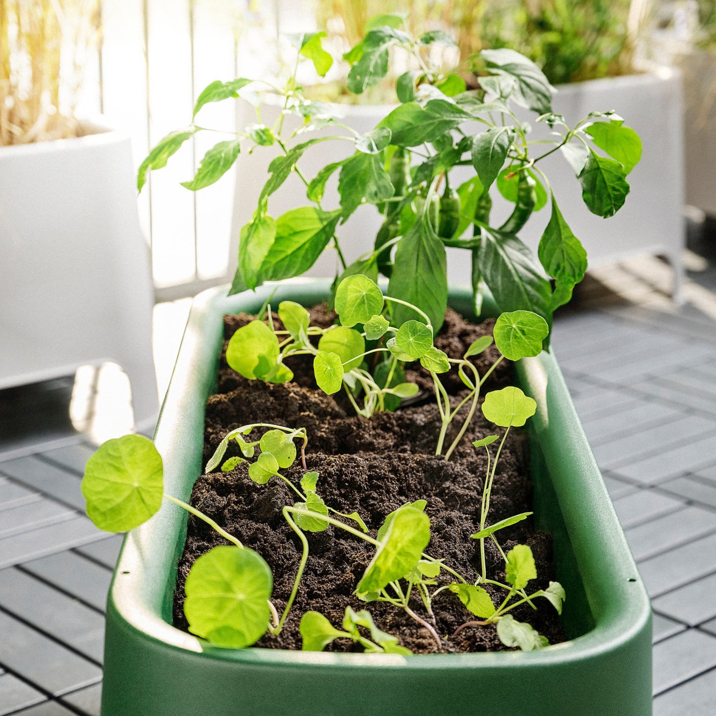 IKEA アスパラン ASPAREN planter, gray outdoor, 35x15