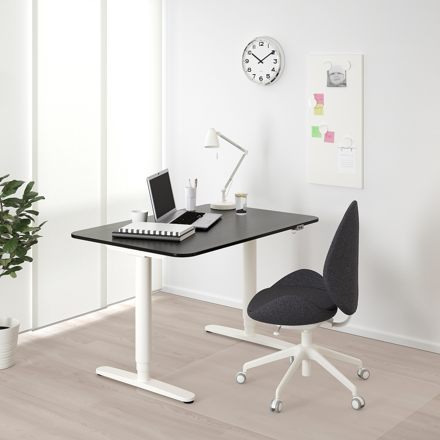 Amazon.co.jp: IKEA BEKANTデスク、160x80cm、ホワイトステインオーク突板/ホワイト : Office Products