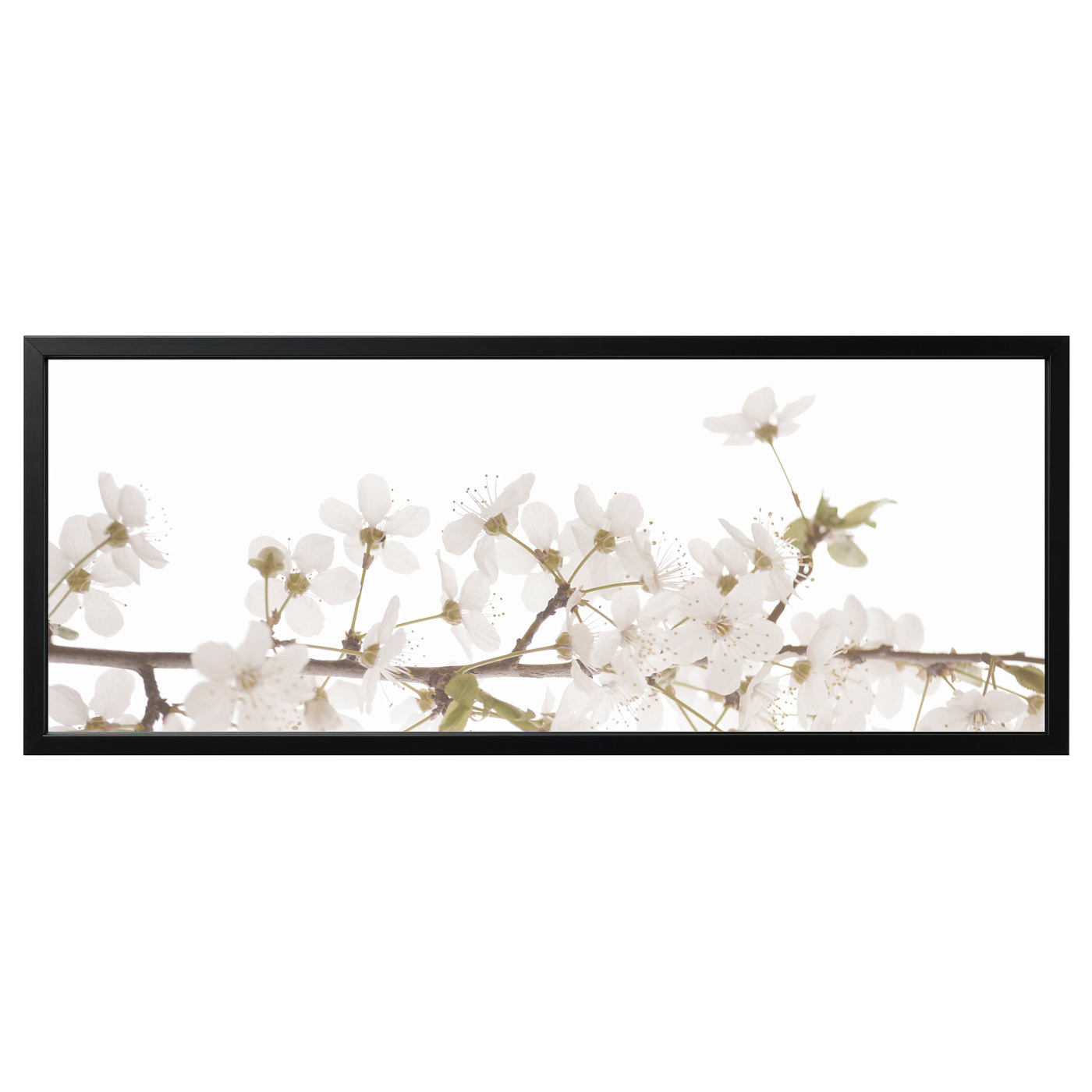 BJÖRKSTA picture with frame white flowers/black - IKEA