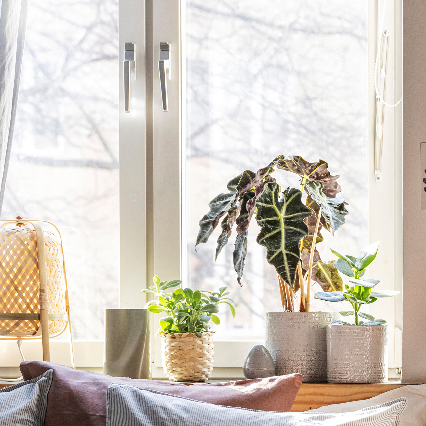 CHIAFRÖN plant pot in/outdoor white - IKEA