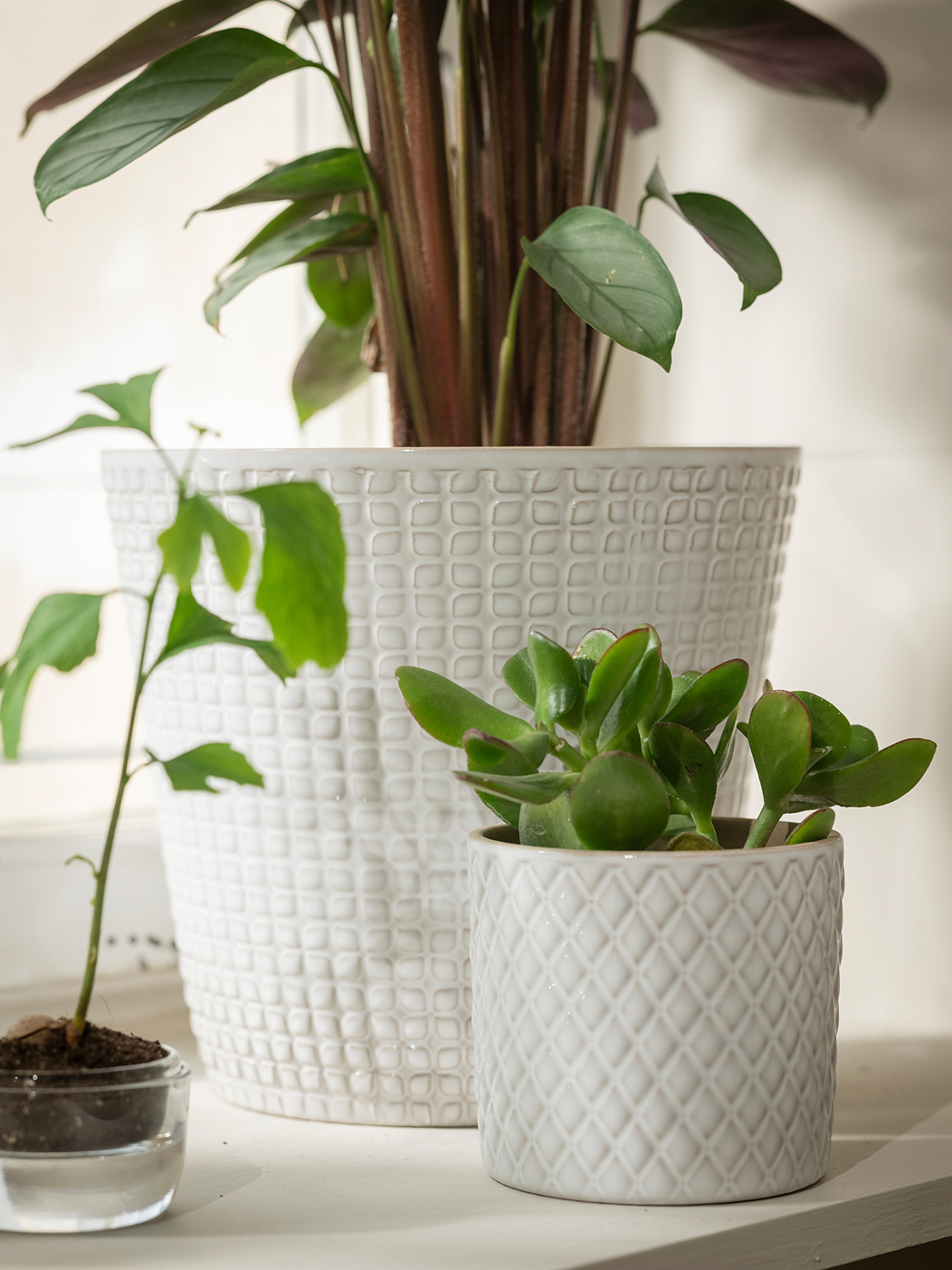 CHIAFRÖN plant pot white - IKEA