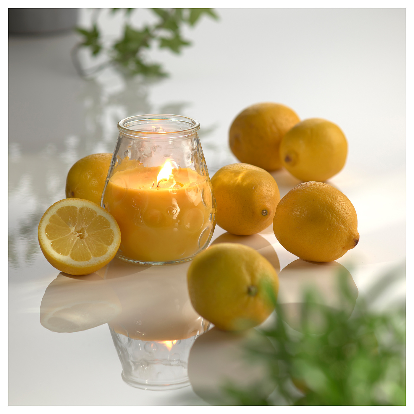 キャンドル YOBEK CANISTER CANDLE REFRESHING CITRUS キャンドル YOBEK CANISTER CANDLE REFRESHING CITRUSの通販