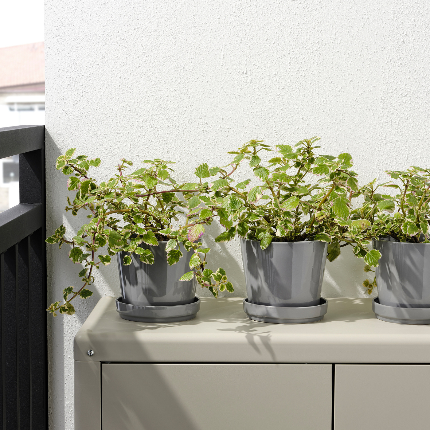 CITRUSFRUKT plant pot with saucer in/outdoor grey - IKEA