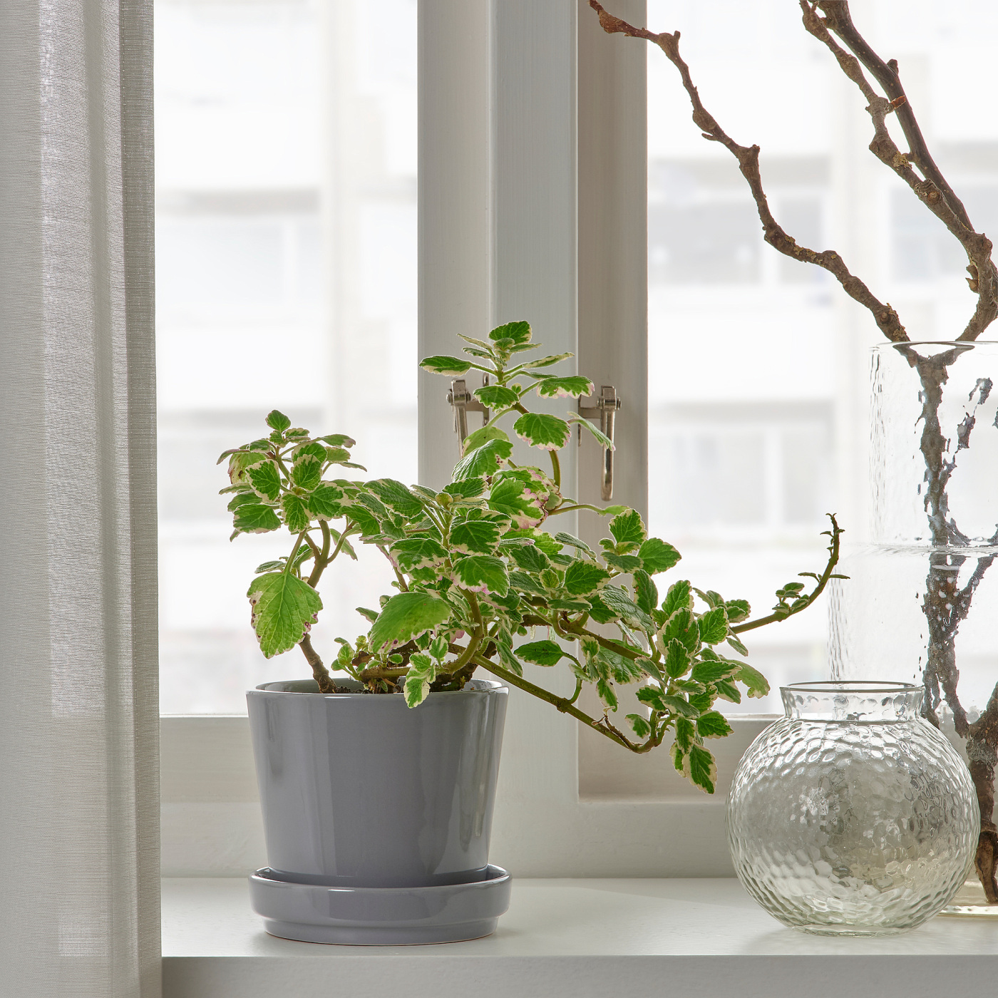 CITRUSFRUKT plant pot with saucer in/outdoor grey - IKEA