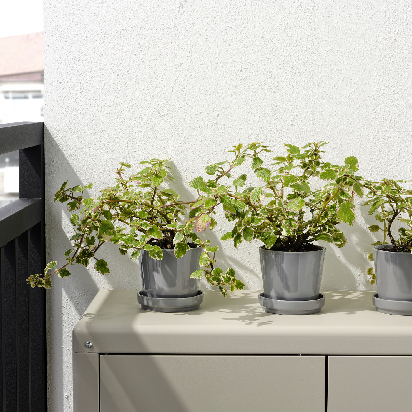CITRUSFRUKT plant pot with saucer in/outdoor grey - IKEA