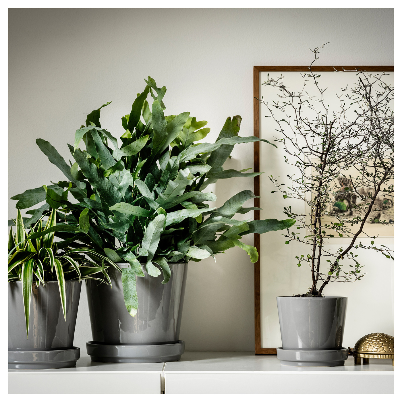 CITRUSFRUKT plant pot with saucer in/outdoor grey - IKEA