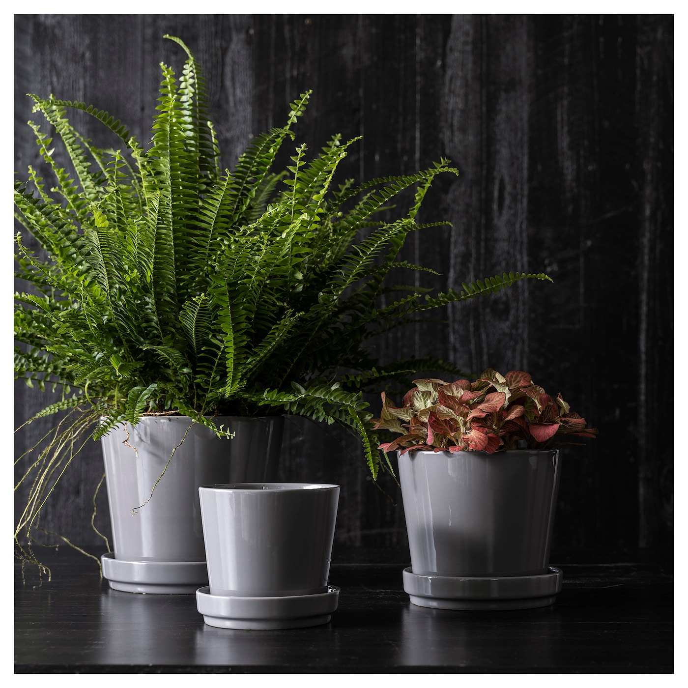 CITRUSFRUKT plant pot with saucer in/outdoor grey - IKEA CITRUSFRUKT plant pot with saucer in/outdoor grey - IKEA