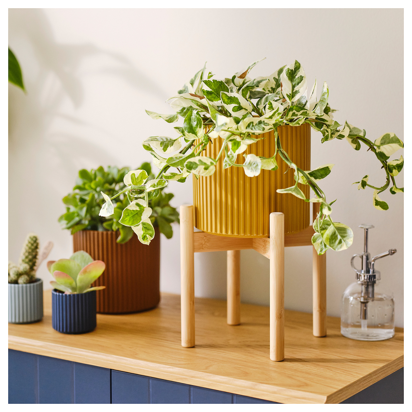 DAKSJUS plant stand bamboo - IKEA