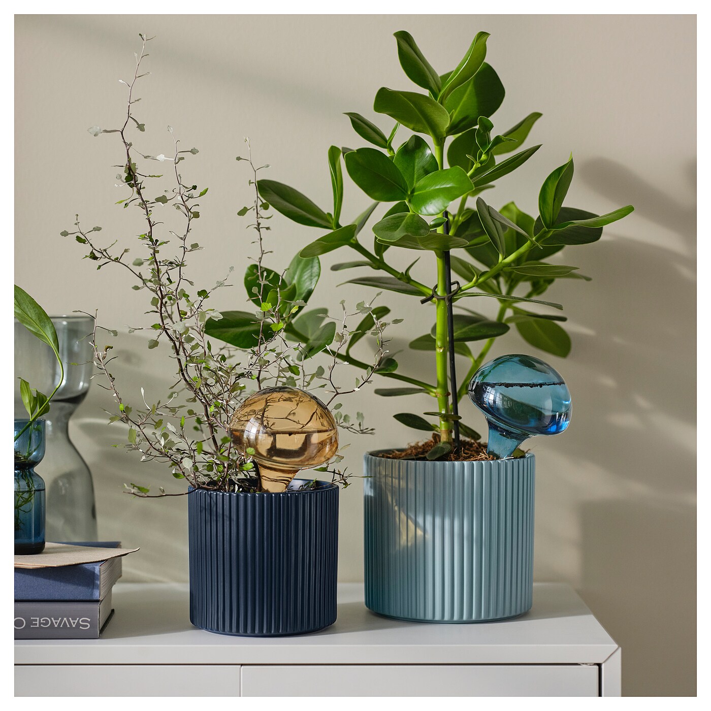 DAKSJUS self-watering insert glass mixed colours - IKEA