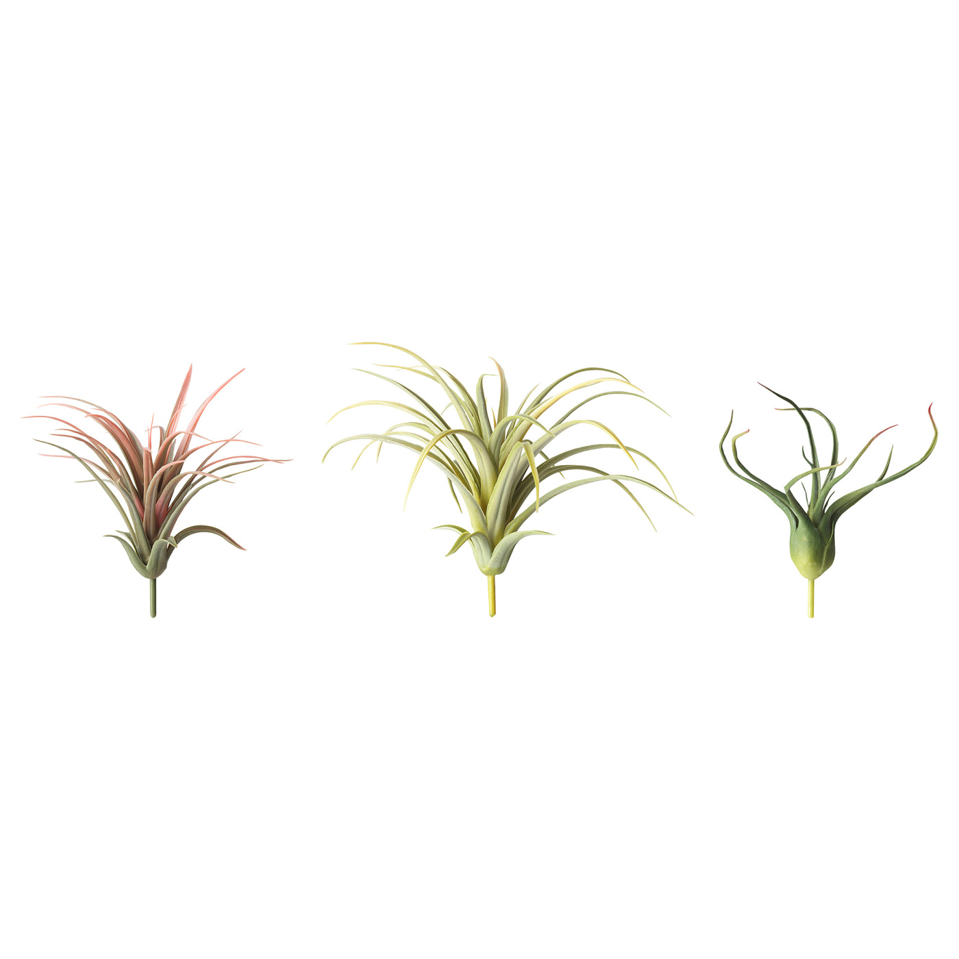 FEJKA artificial plant, set of 3 air plant - IKEA