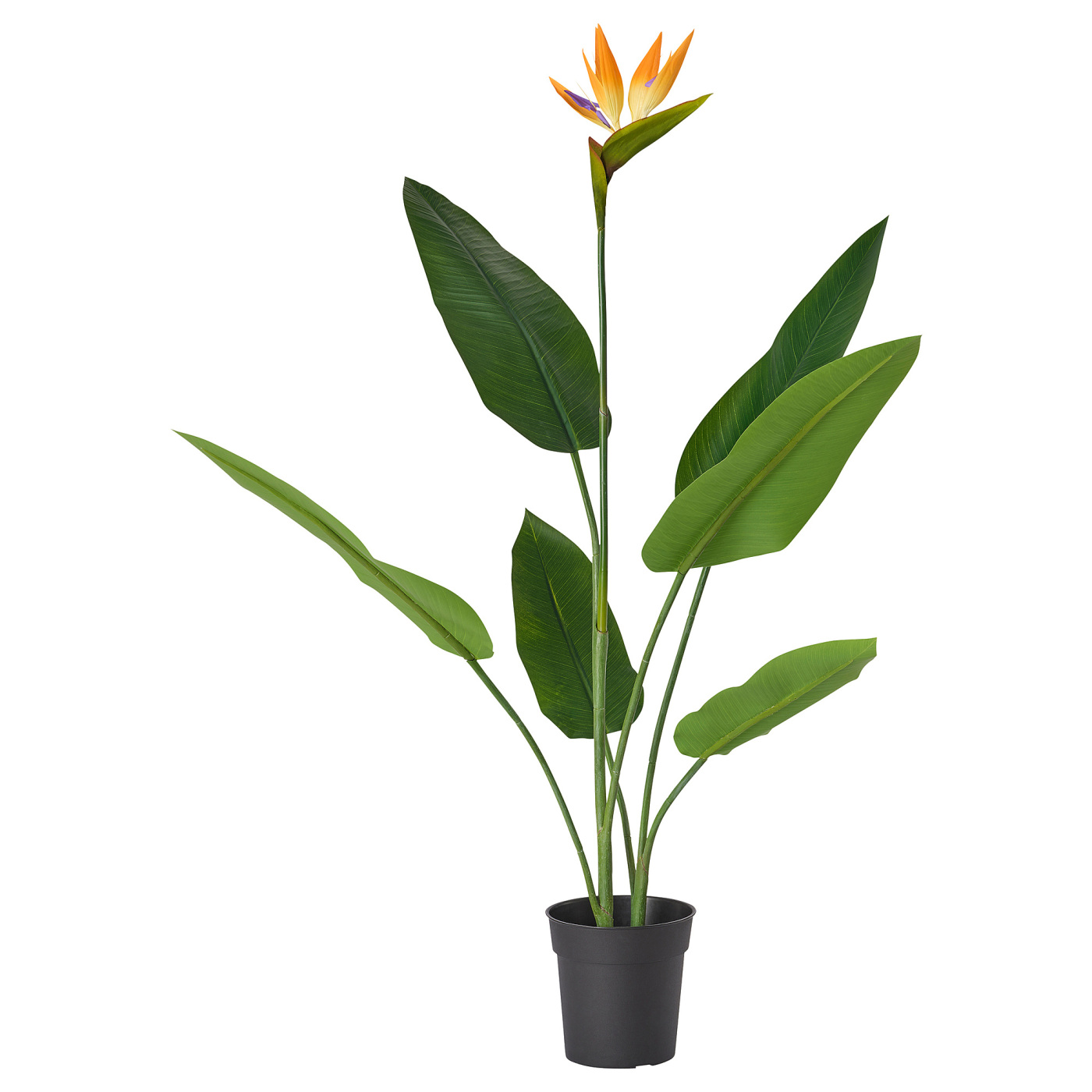 FEJKA artificial potted plant in/outdoor Bird of paradise - IKEA