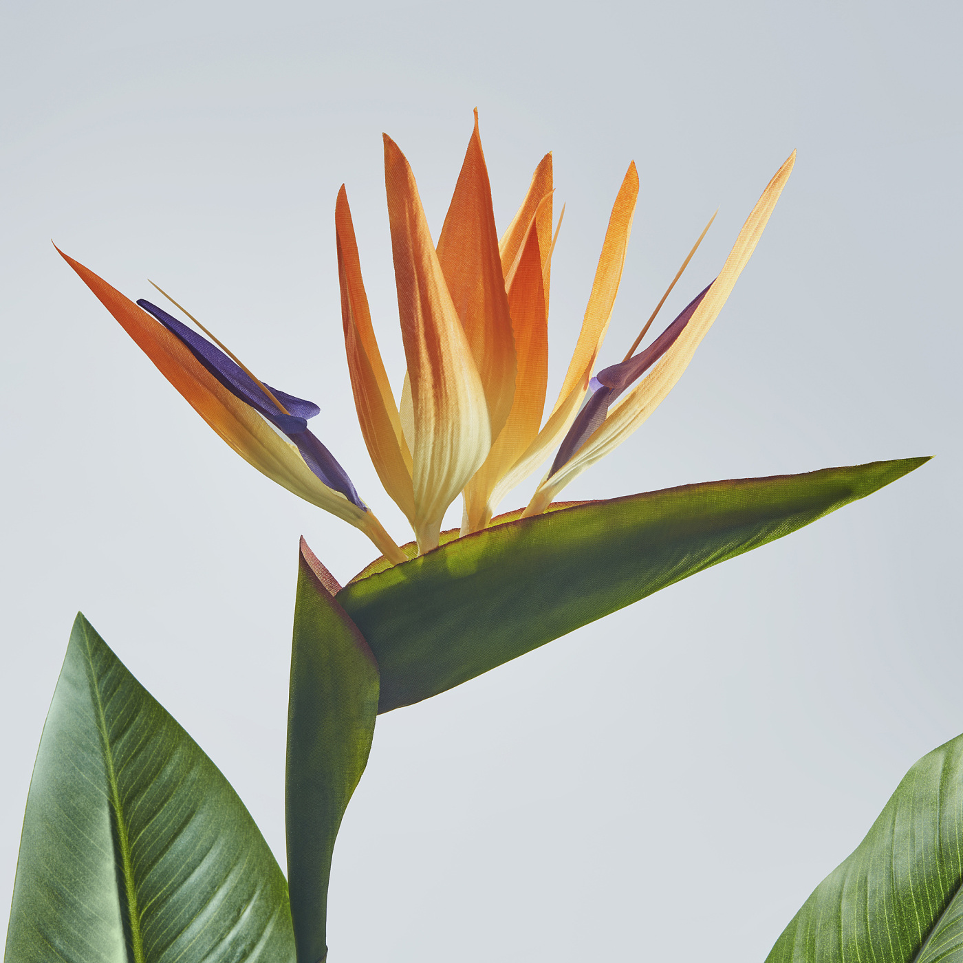FEJKA artificial potted plant in/outdoor Bird of paradise - IKEA