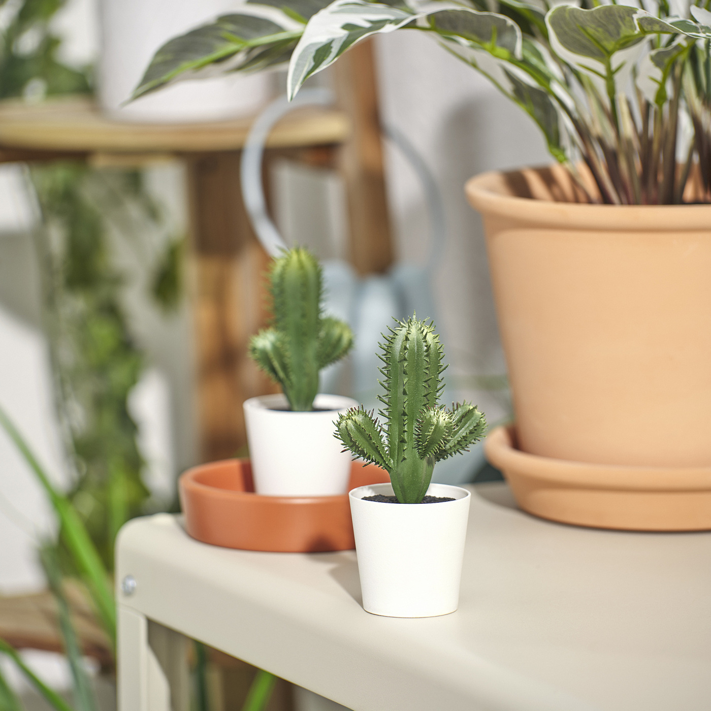 FEJKA artificial potted plant in/outdoor Cactus - IKEA