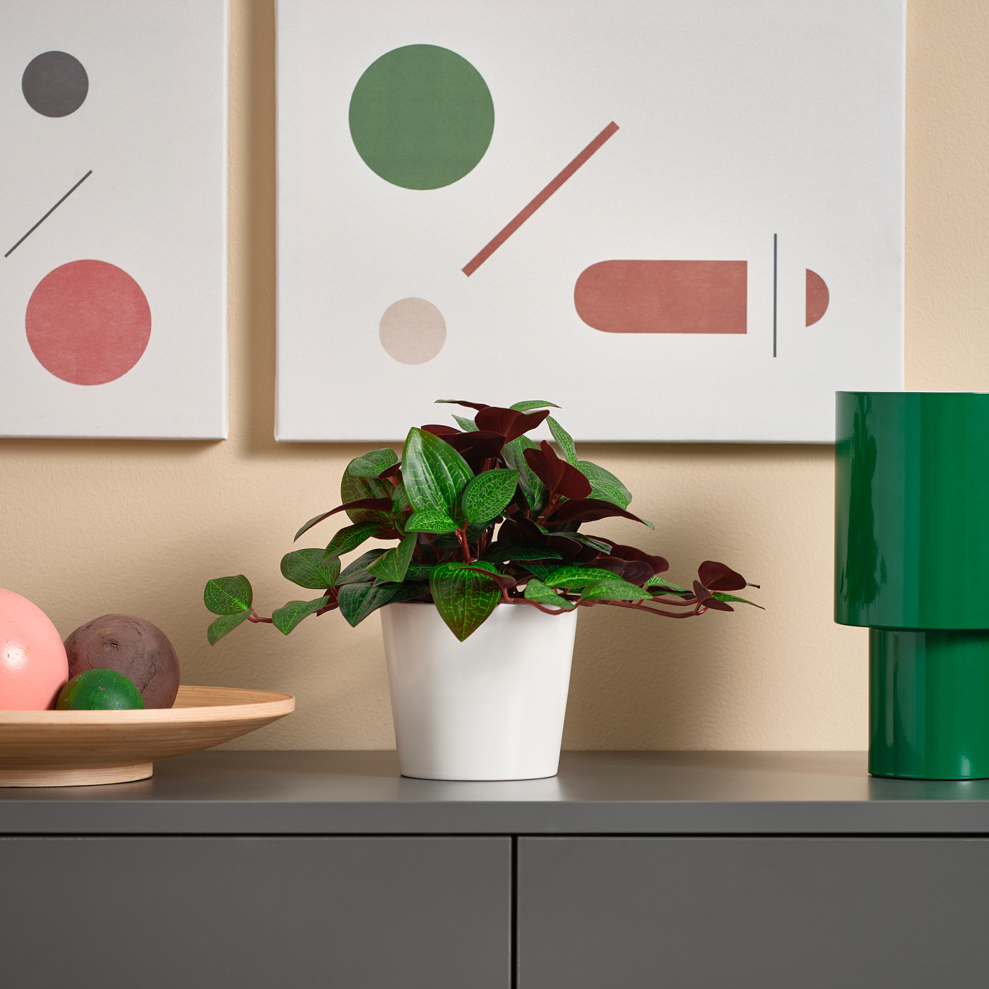 FEJKA artificial potted plant in/outdoor Jewel orchid - IKEA