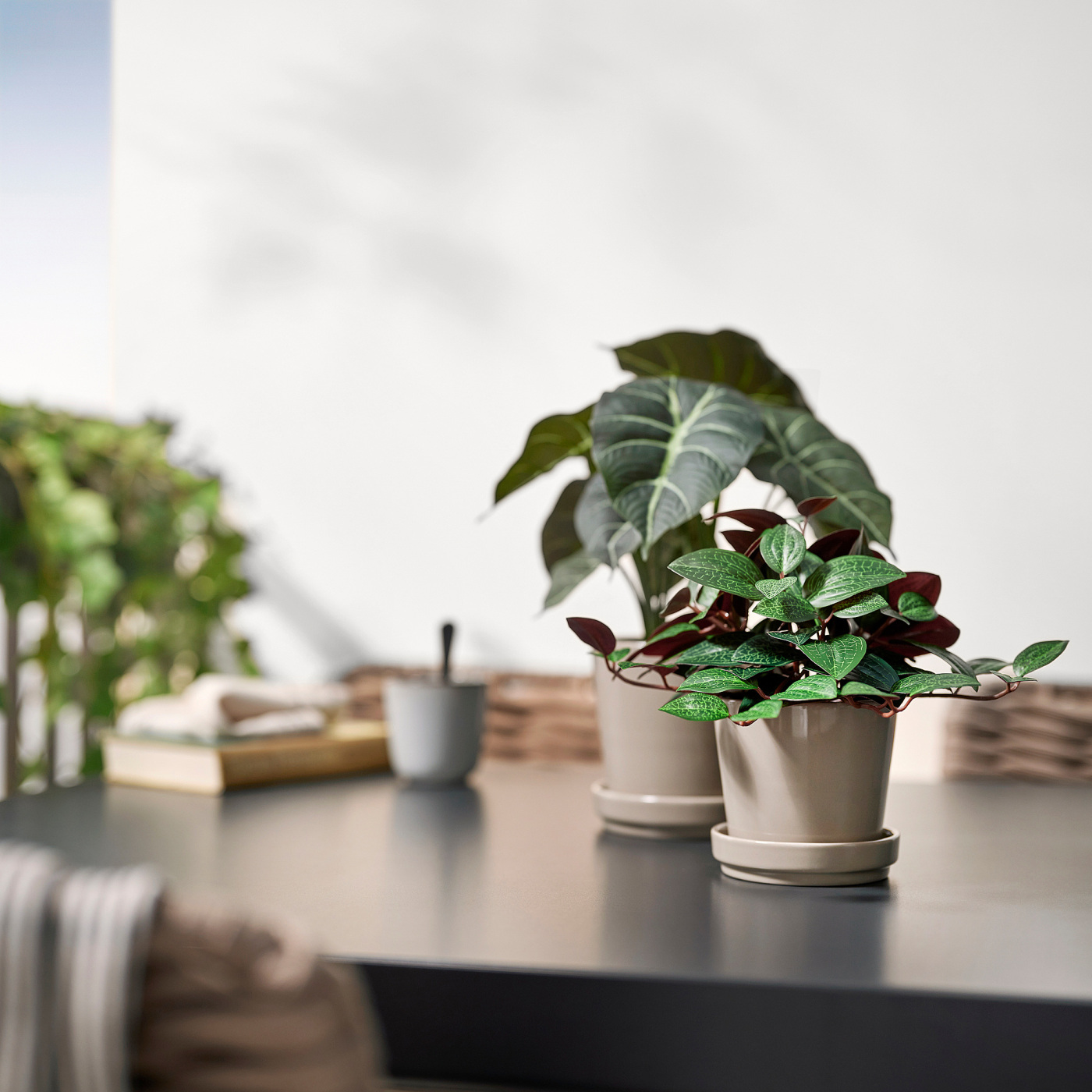 FEJKA artificial potted plant in/outdoor Jewel orchid - IKEA