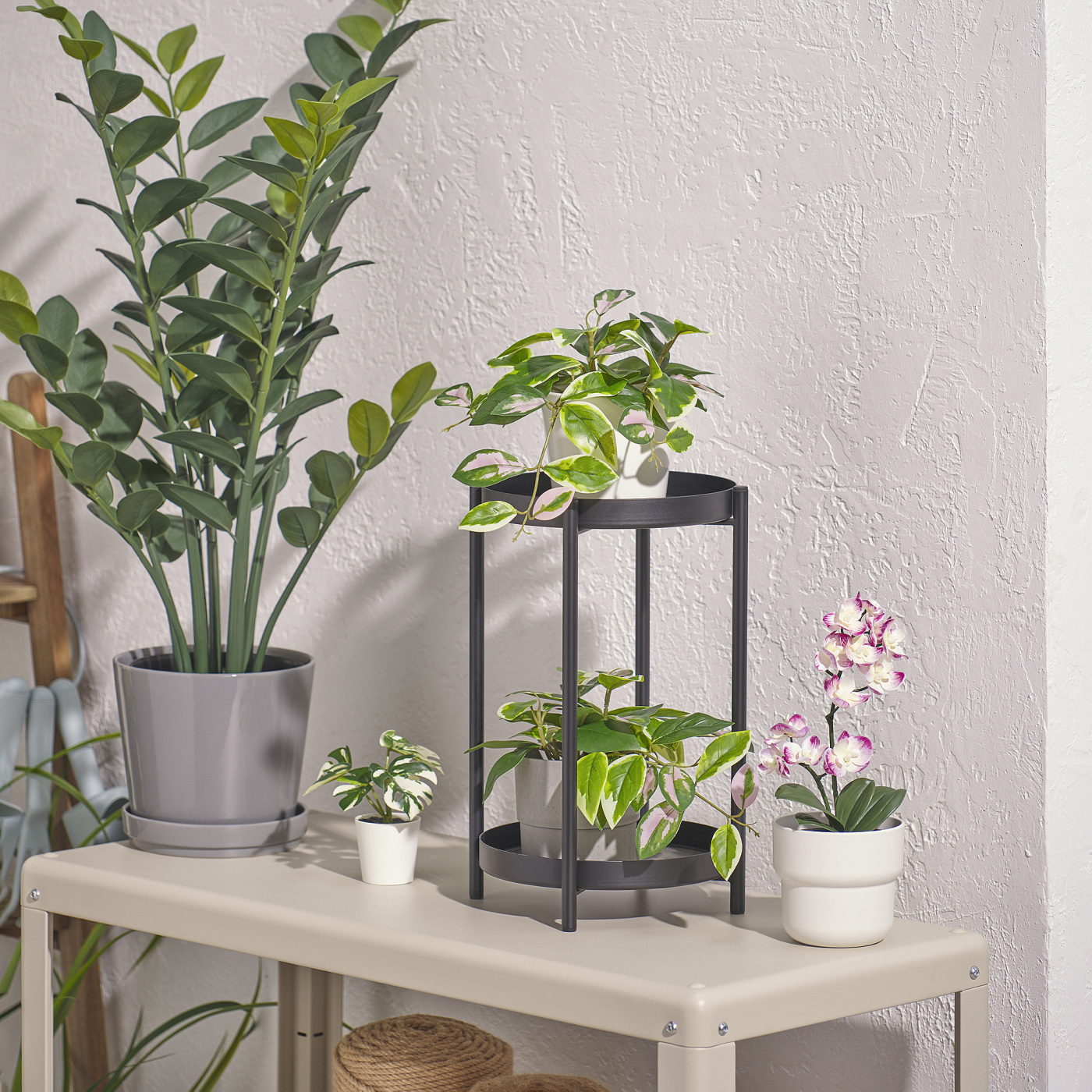FEJKA artificial potted plant in/outdoor/Wax plant hanging - IKEA