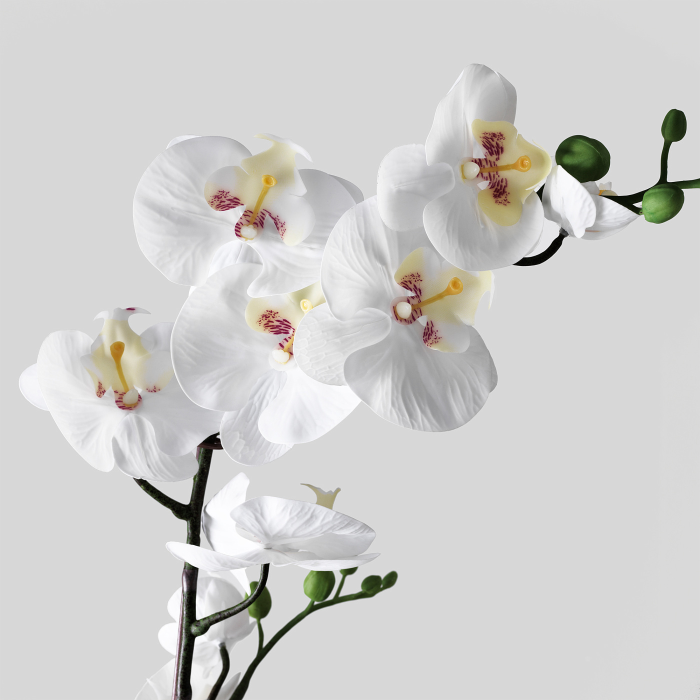 FEJKA artificial potted plant Orchid white - IKEA