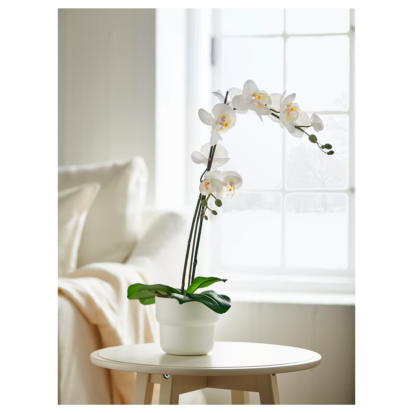 FEJKA artificial potted plant Orchid white - IKEA