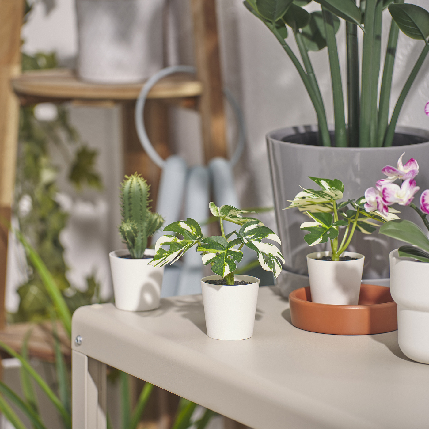 FEJKA artificial potted plant with pot in/outdoor Monstera - IKEA