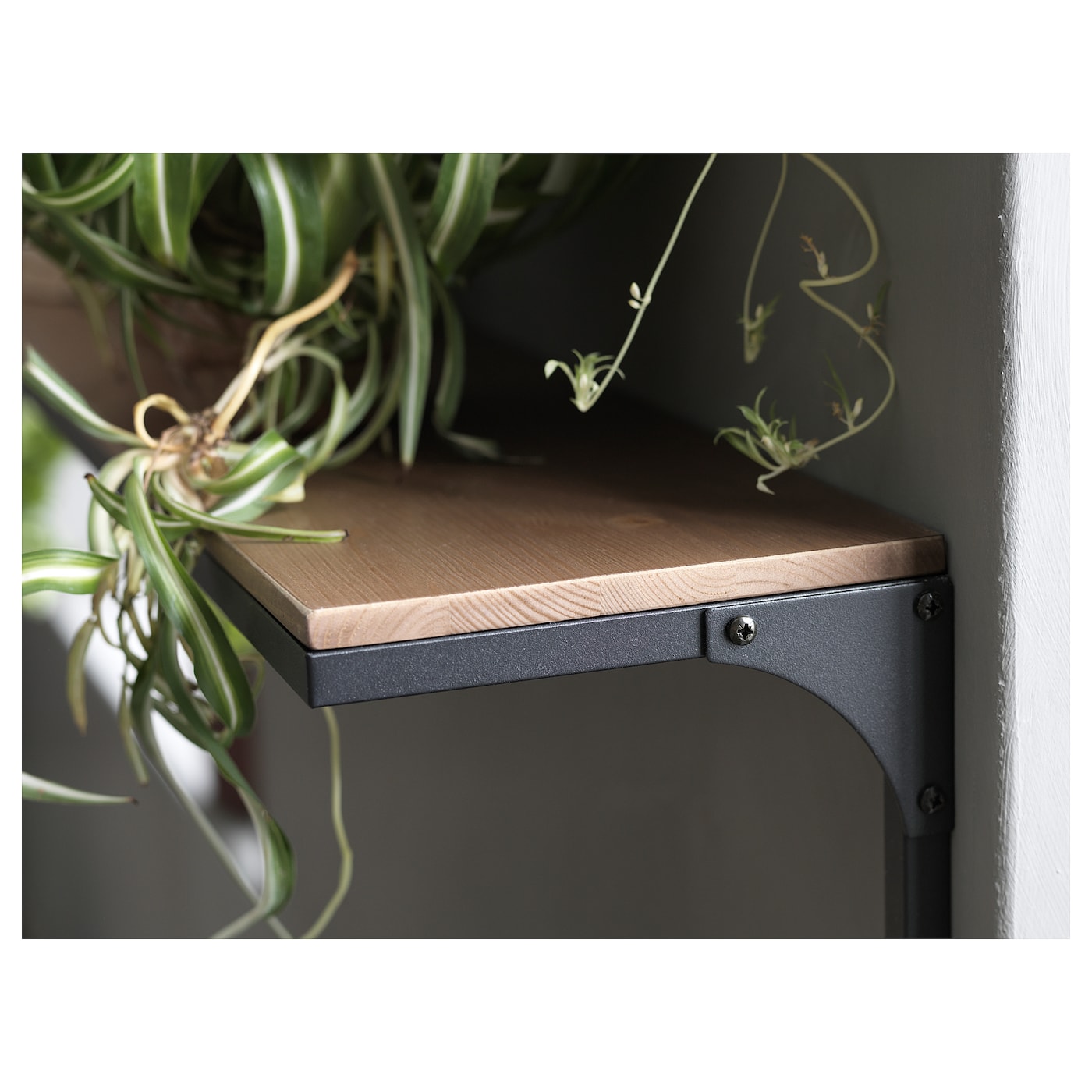 FJÄLLBO wall shelf black - IKEA