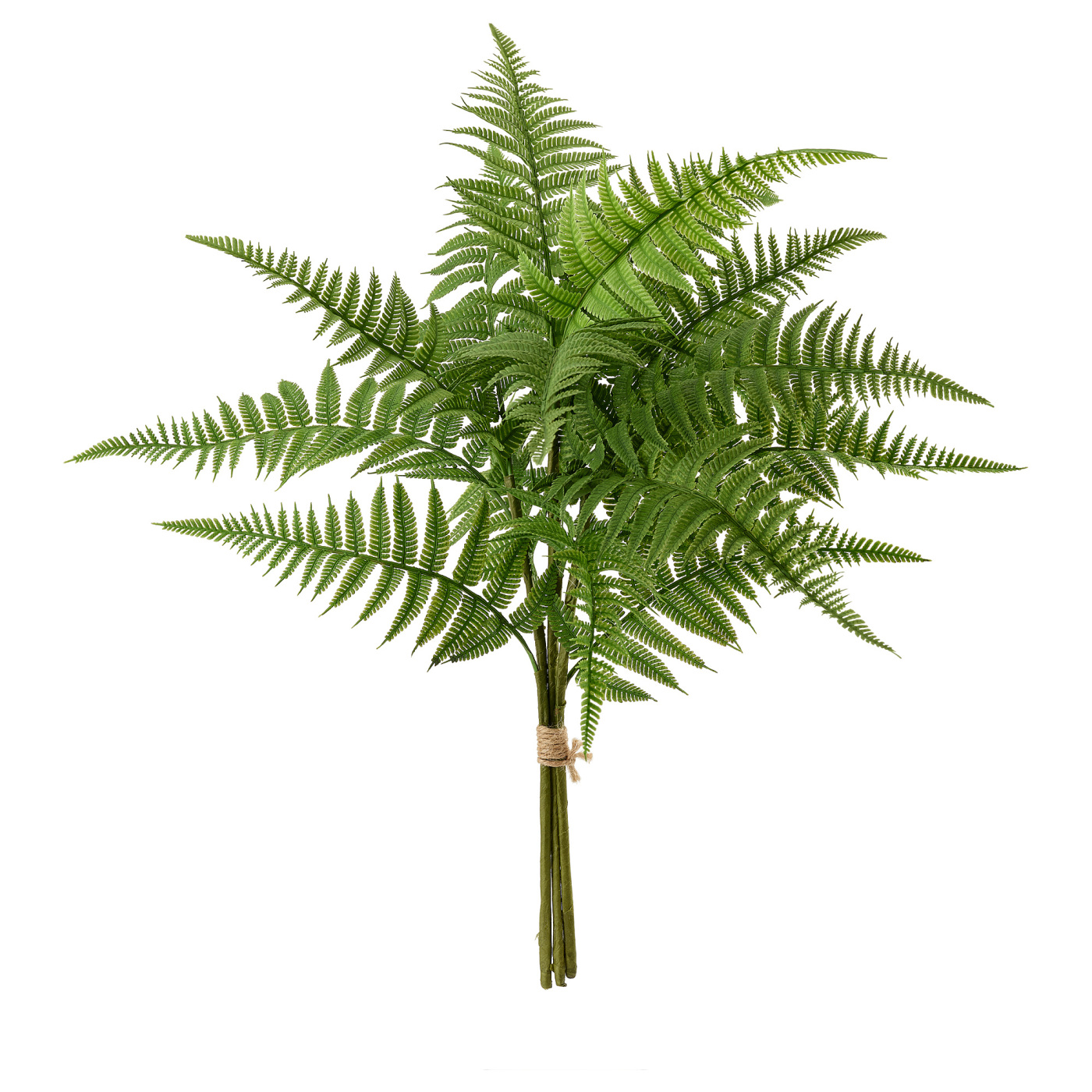 HÖSTKVÄLL