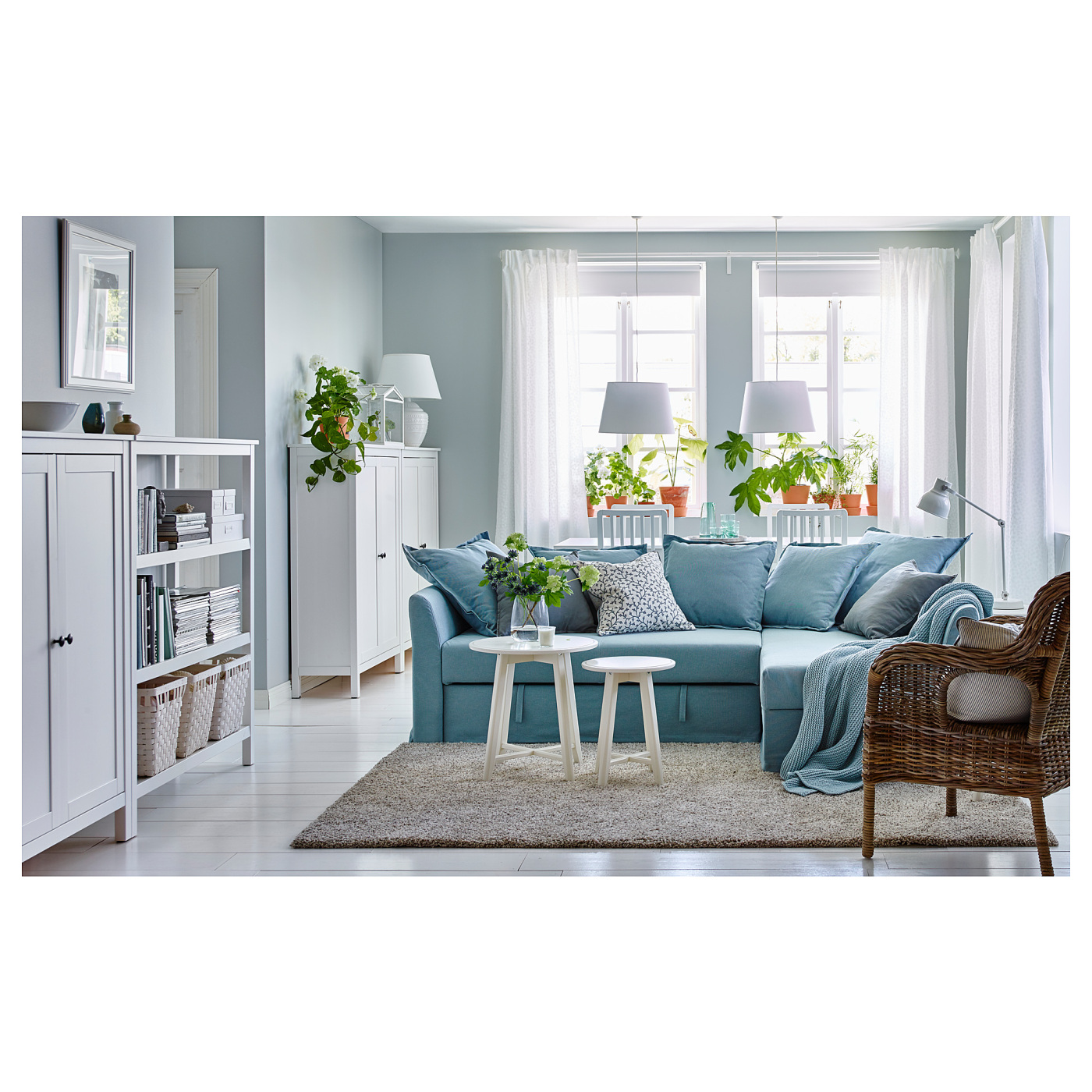 ins-image
