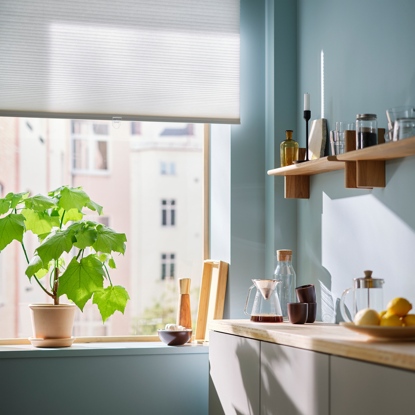 HOPPVALS cellular blind white - IKEA