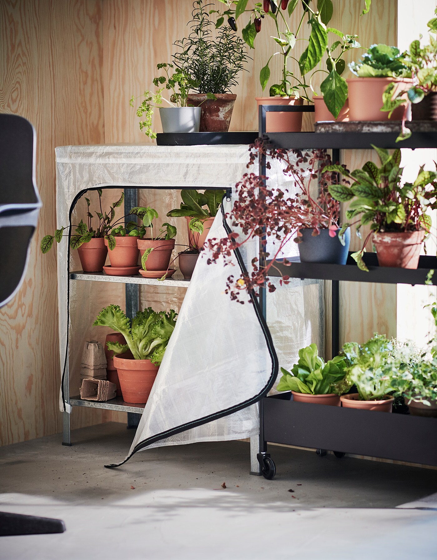 HYLLIS cover transparent/in/outdoor - IKEA