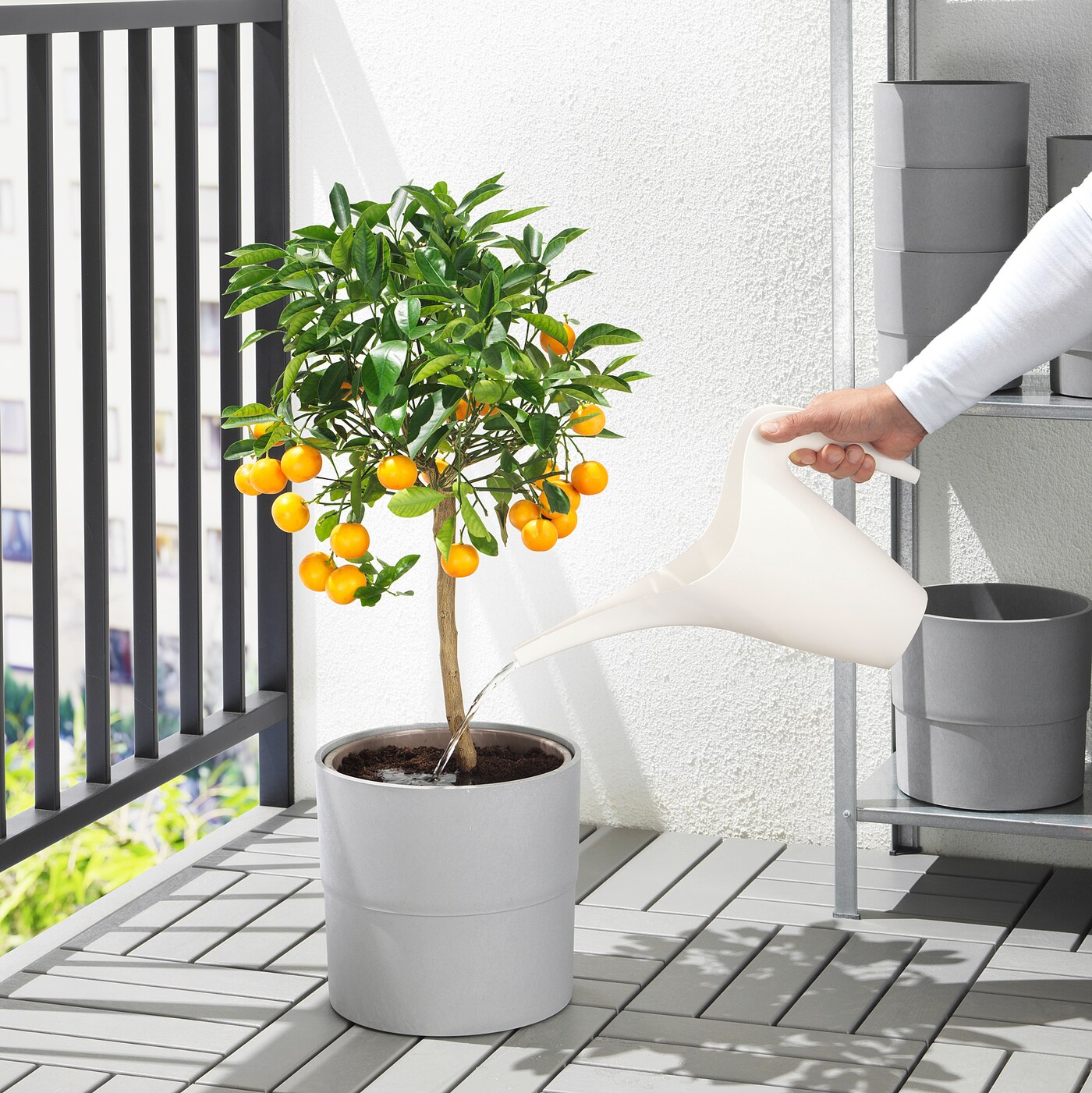 Ivanio Weis 樣專用 IKEA PS 2002 watering can white - IKEA