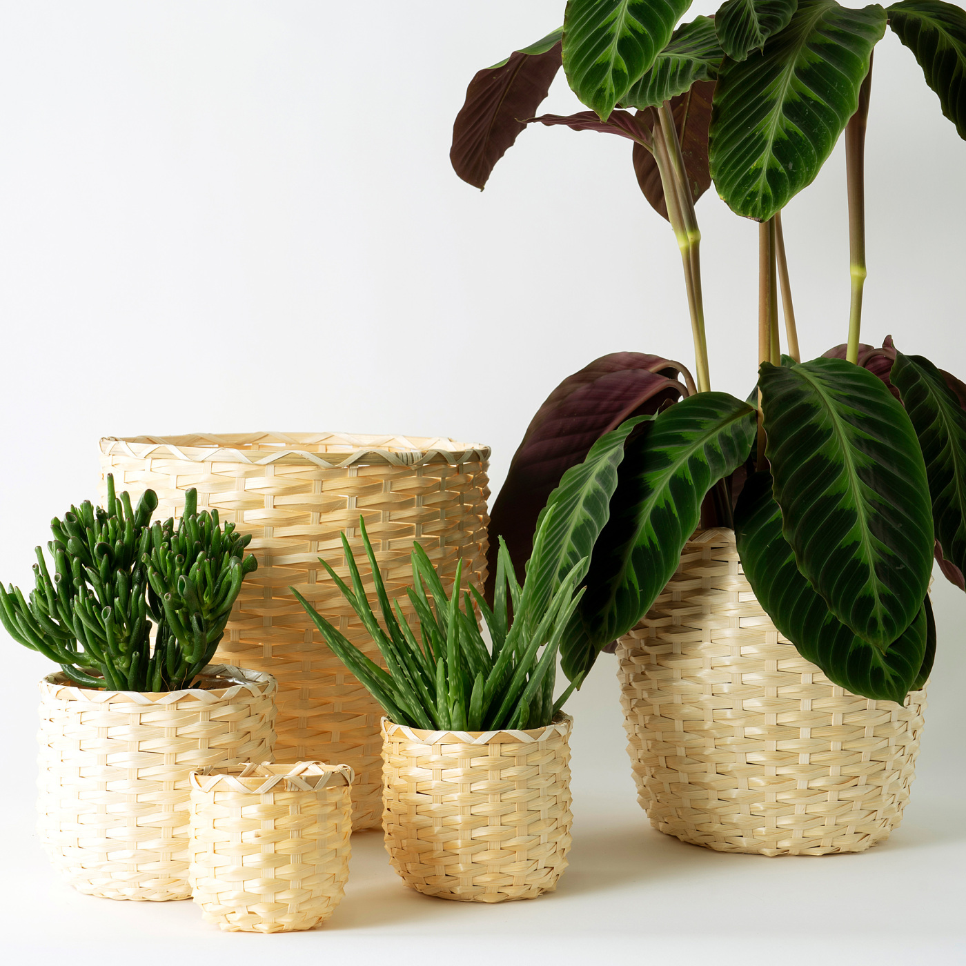 ins-image