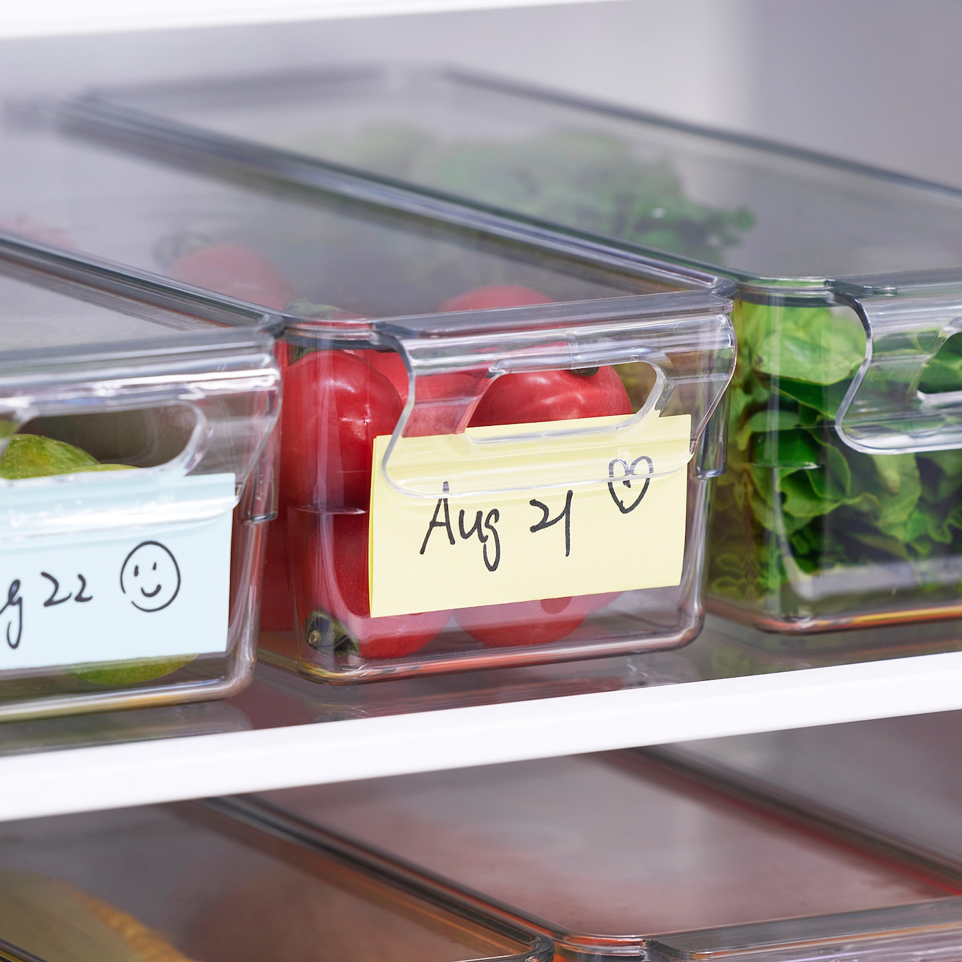 KLIPPKAKTUS storage box for fridge transparent - IKEA