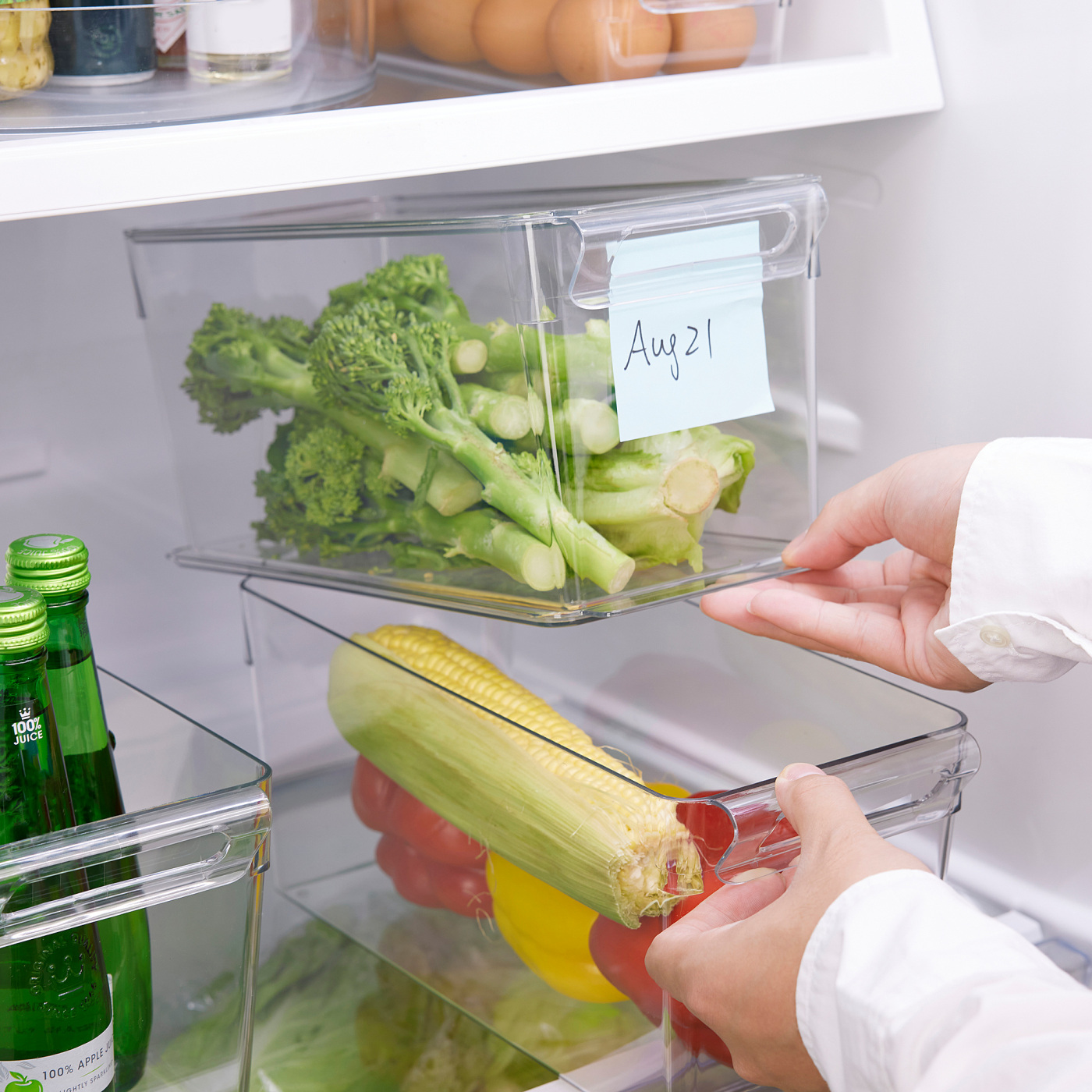 KLIPPKAKTUS storage box for fridge transparent - IKEA