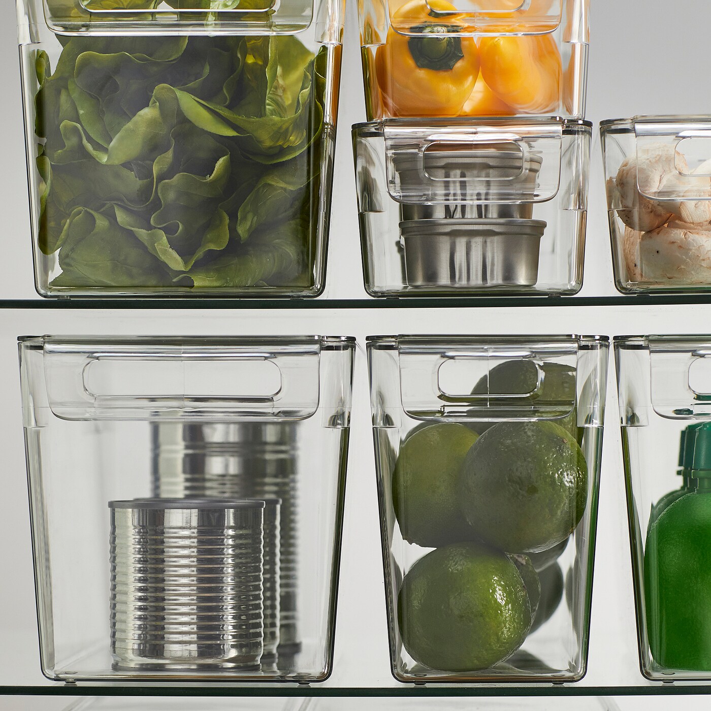 KLIPPKAKTUS storage box for fridge transparent - IKEA