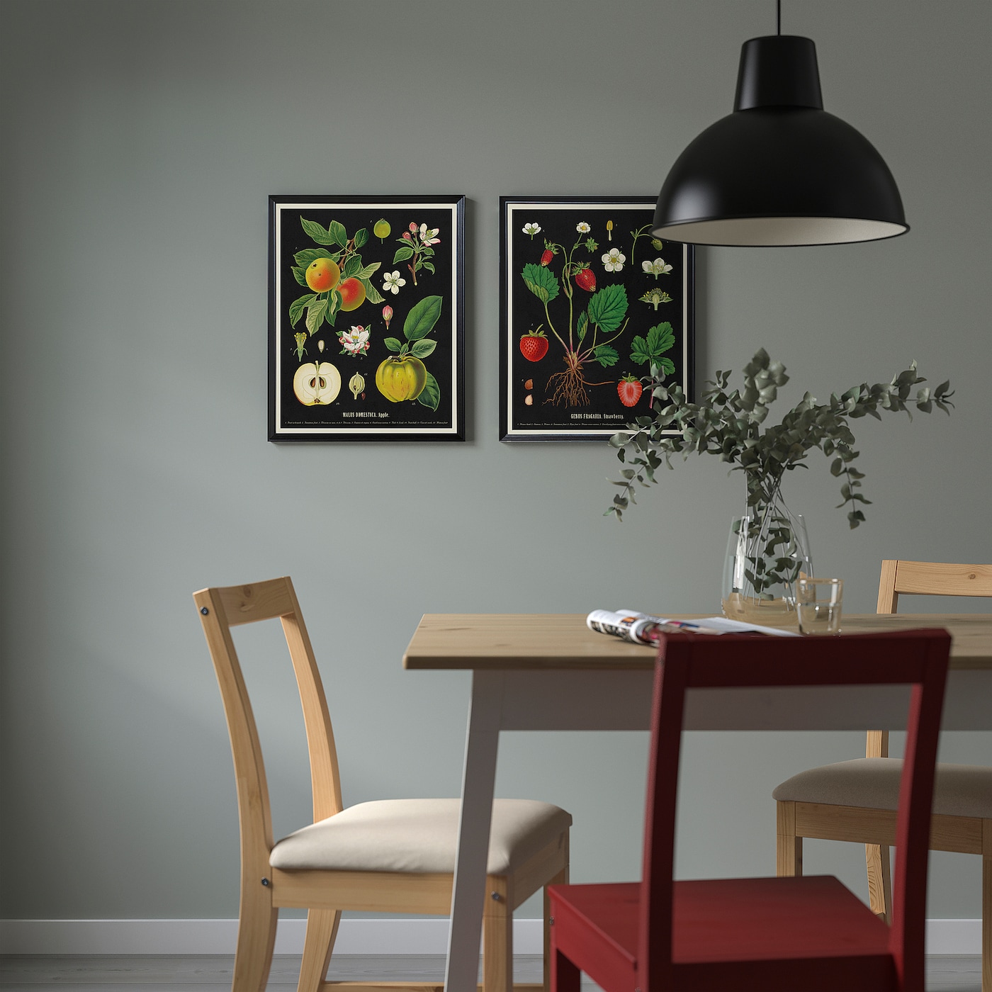 KNOPPÄNG frame with poster vintage botanical fruit charts - IKEA