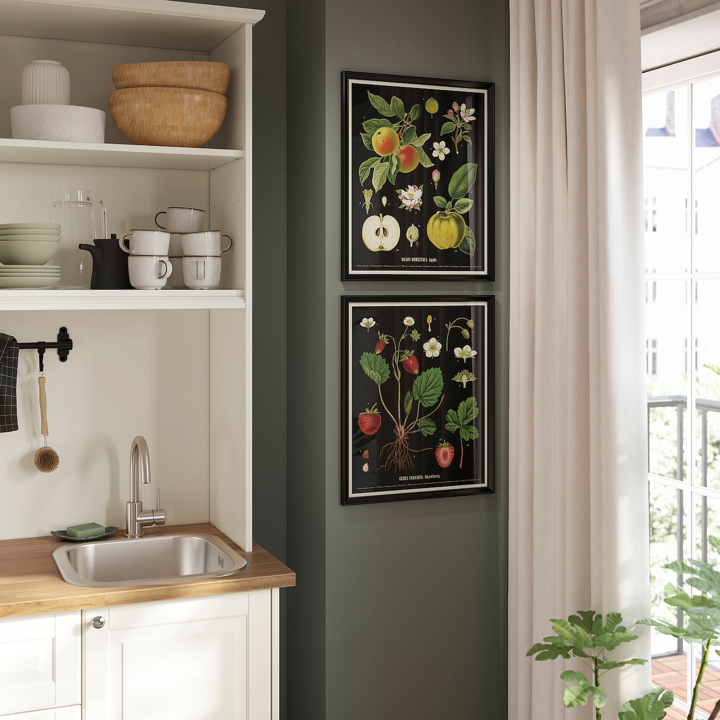 KNOPPÄNG frame with poster vintage botanical fruit charts - IKEA