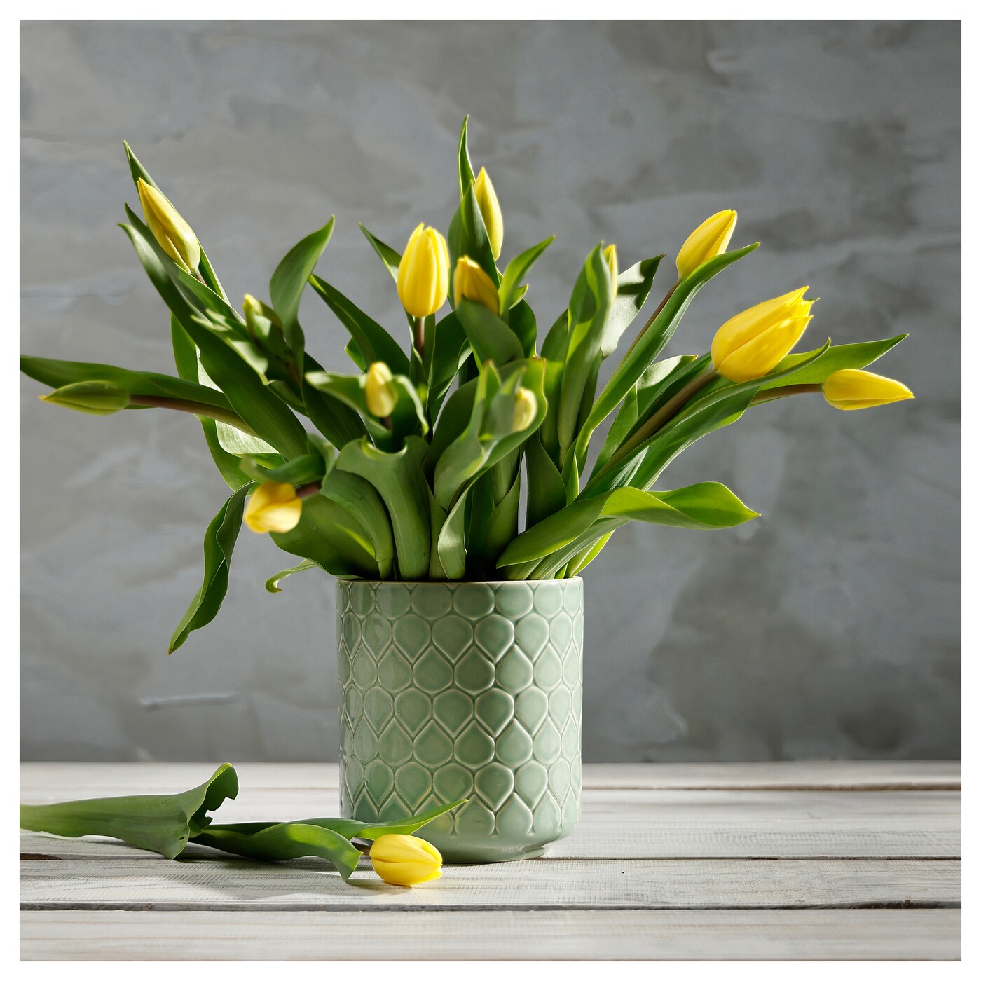 Ginkgo Vase, Extra Large – AnnSandra