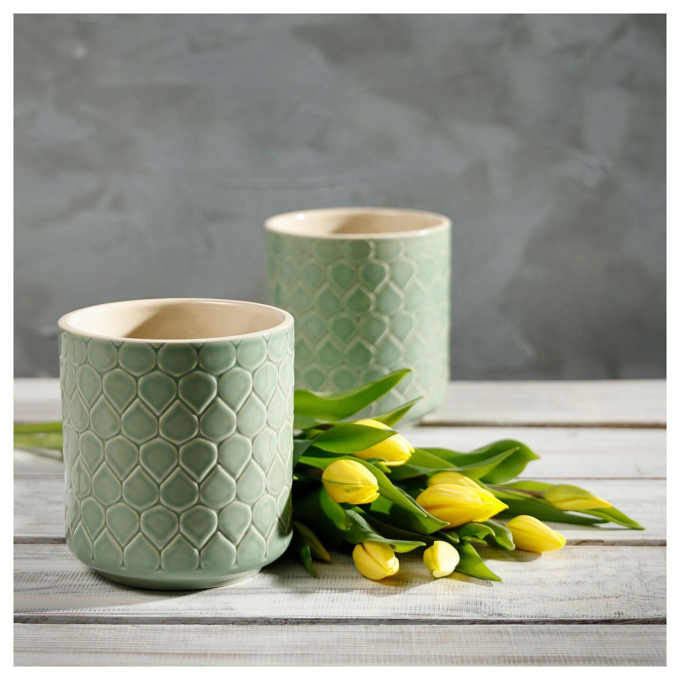 GLASS CYLINDER VASE | BamBooks the Heritage