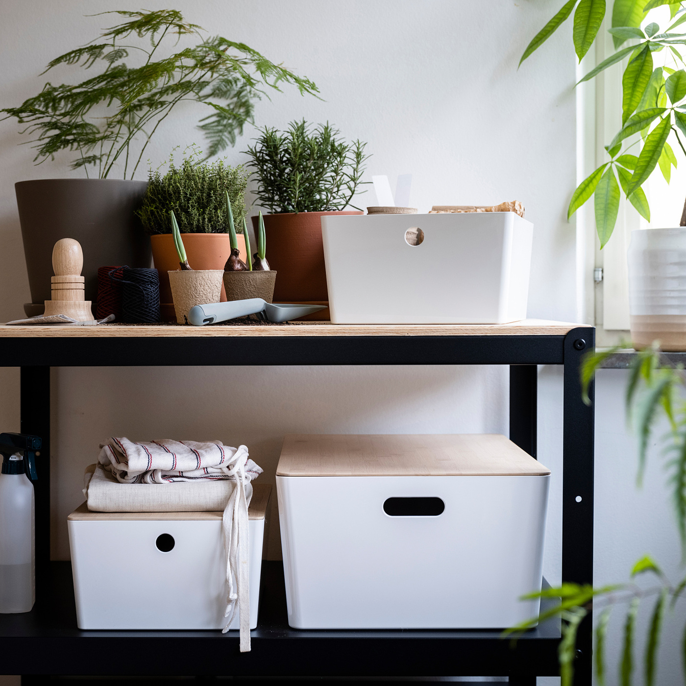 KUGGIS box white - IKEA