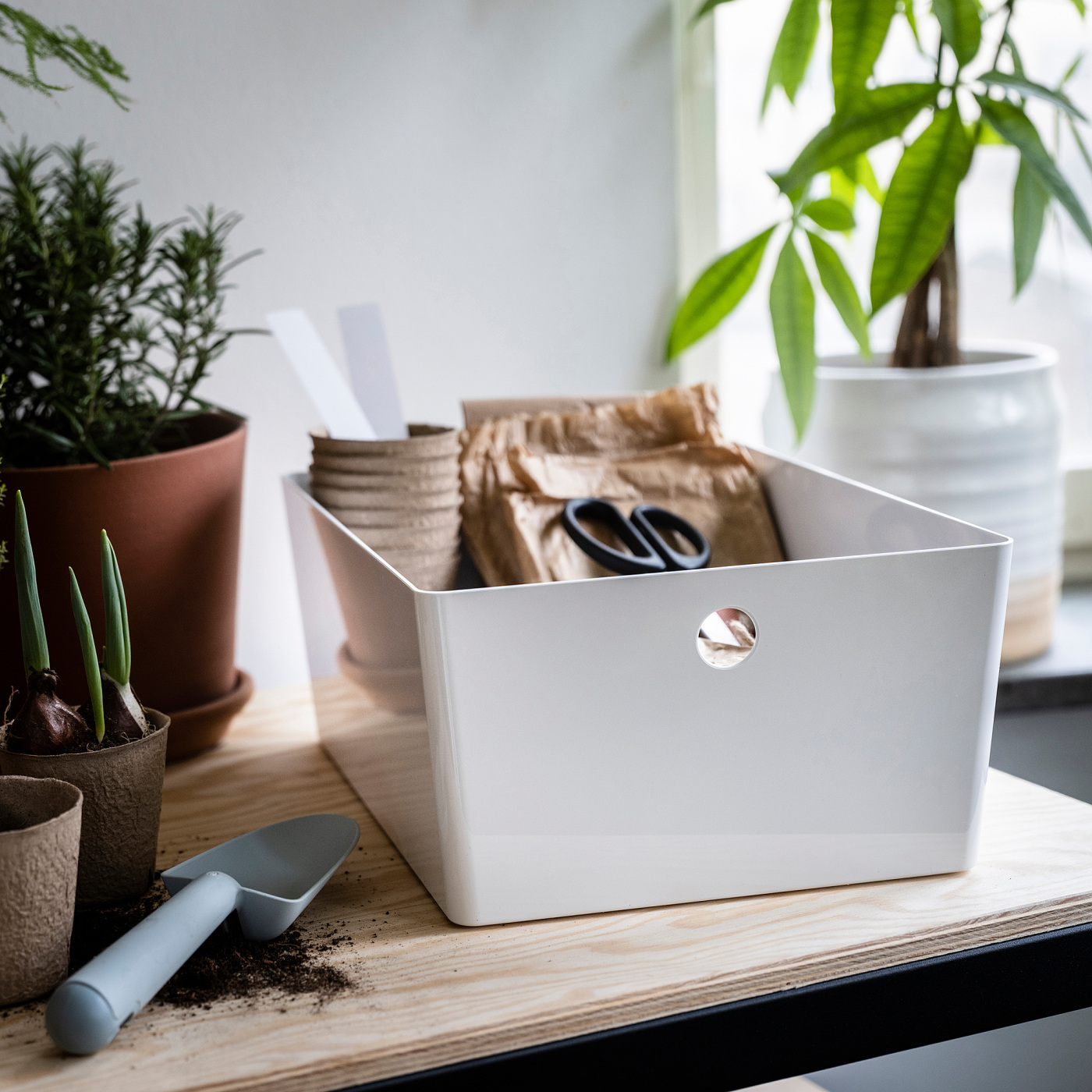 KUGGIS box white - IKEA