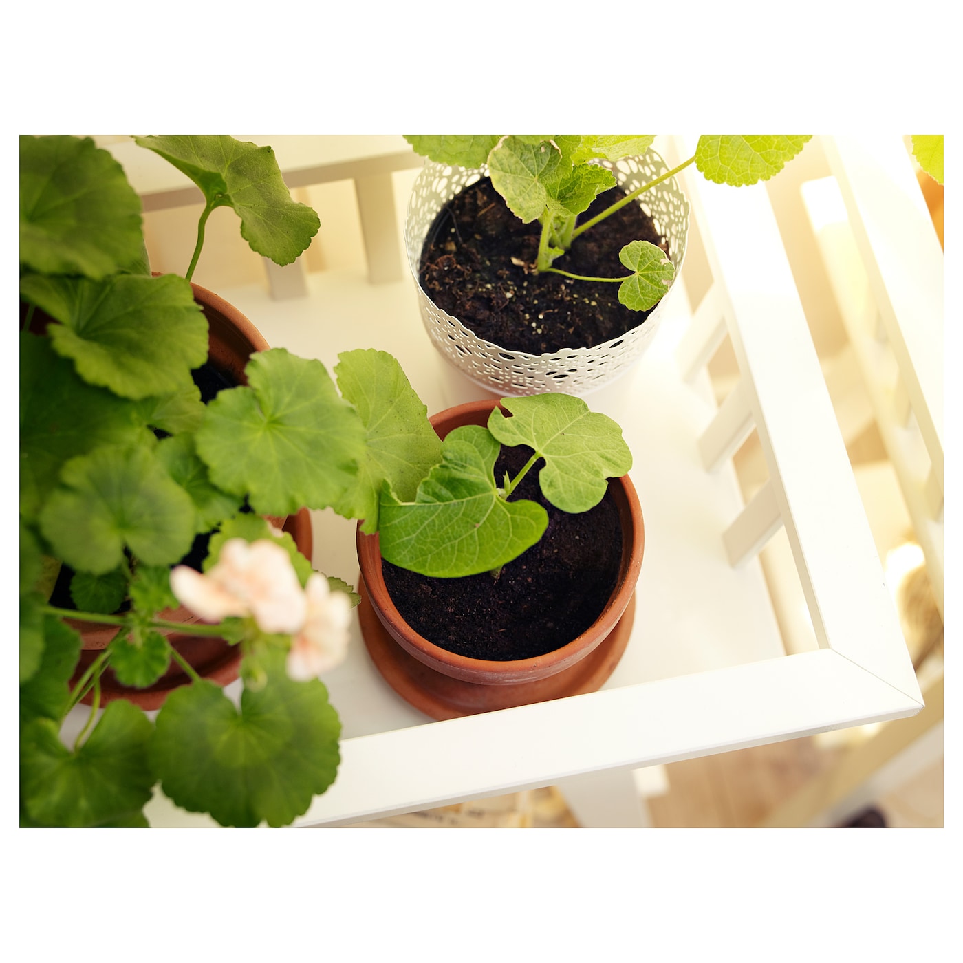 IKEA - IKEA★LANTLIVラントリーヴ★プラントスタンド★ホワイト68 cm IKEA - IKEA☆LANTLIVラントリーヴ☆プラントスタンド☆ホワイト