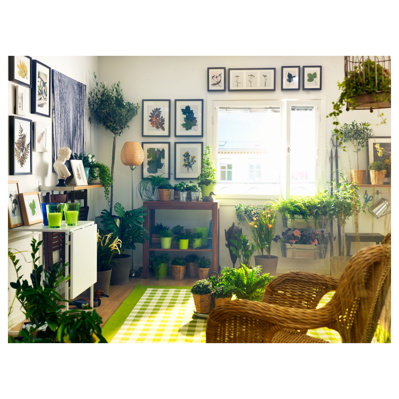 ins-image
