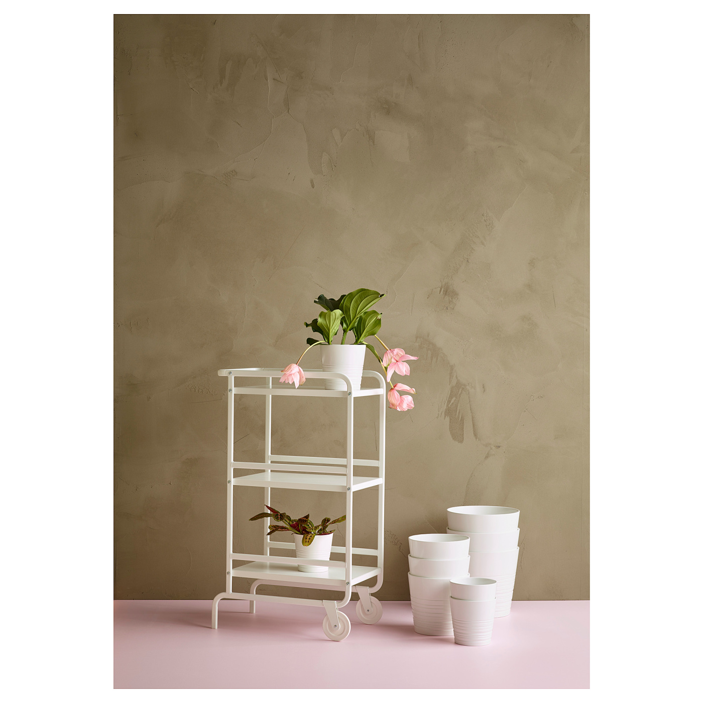 ins-image