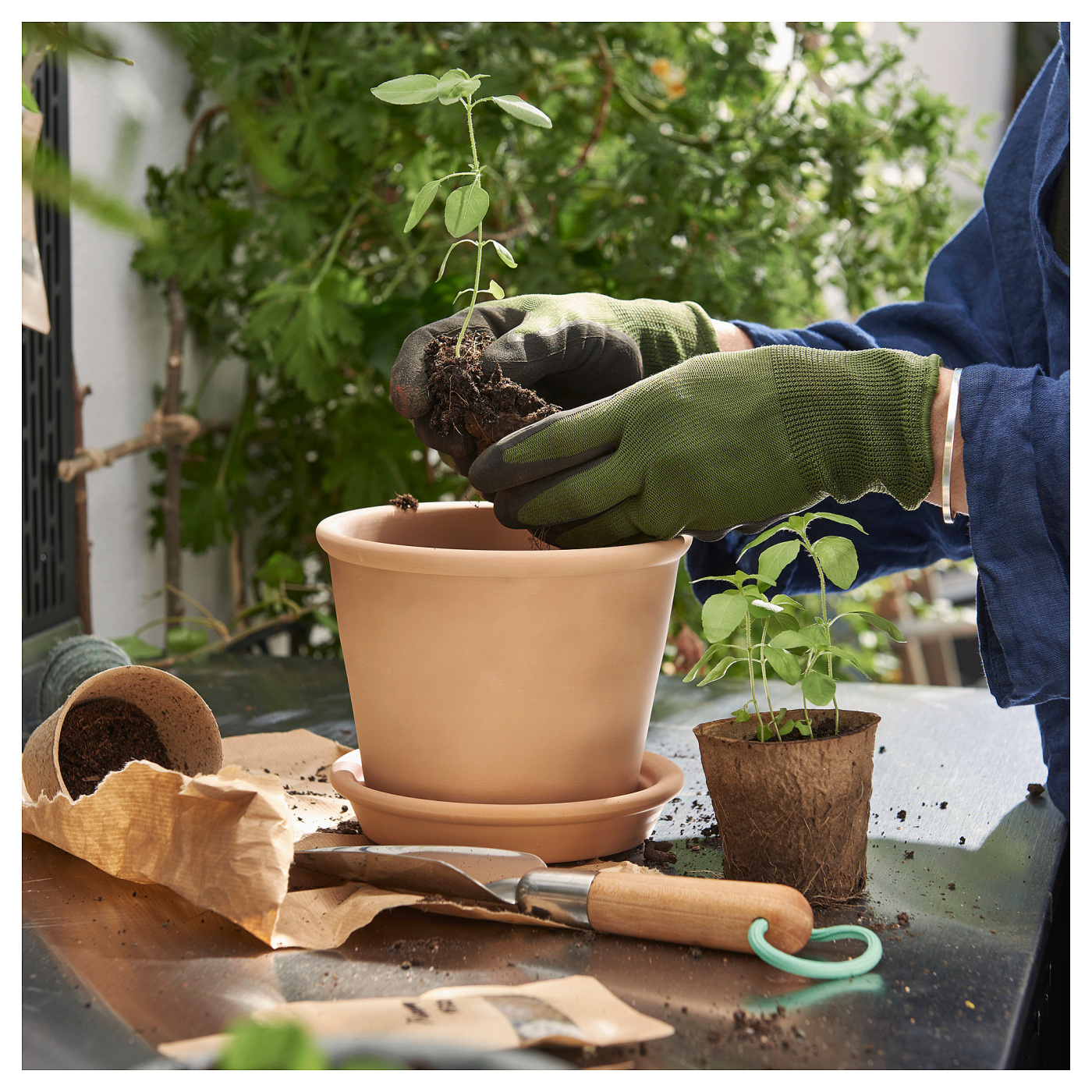 MUSKOTBLOMMA plant pot with saucer in/outdoor terracotta - IKEA