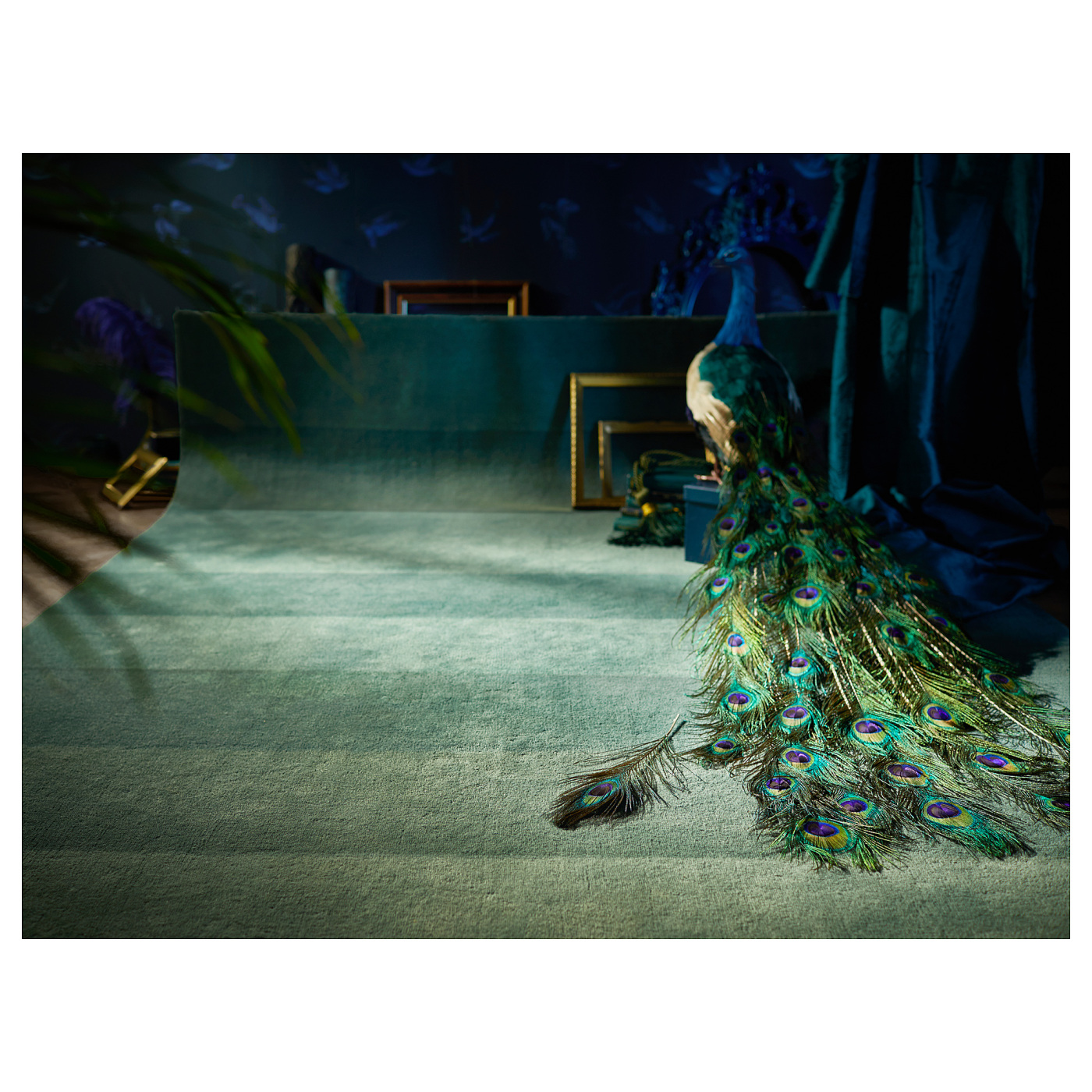 ins-image