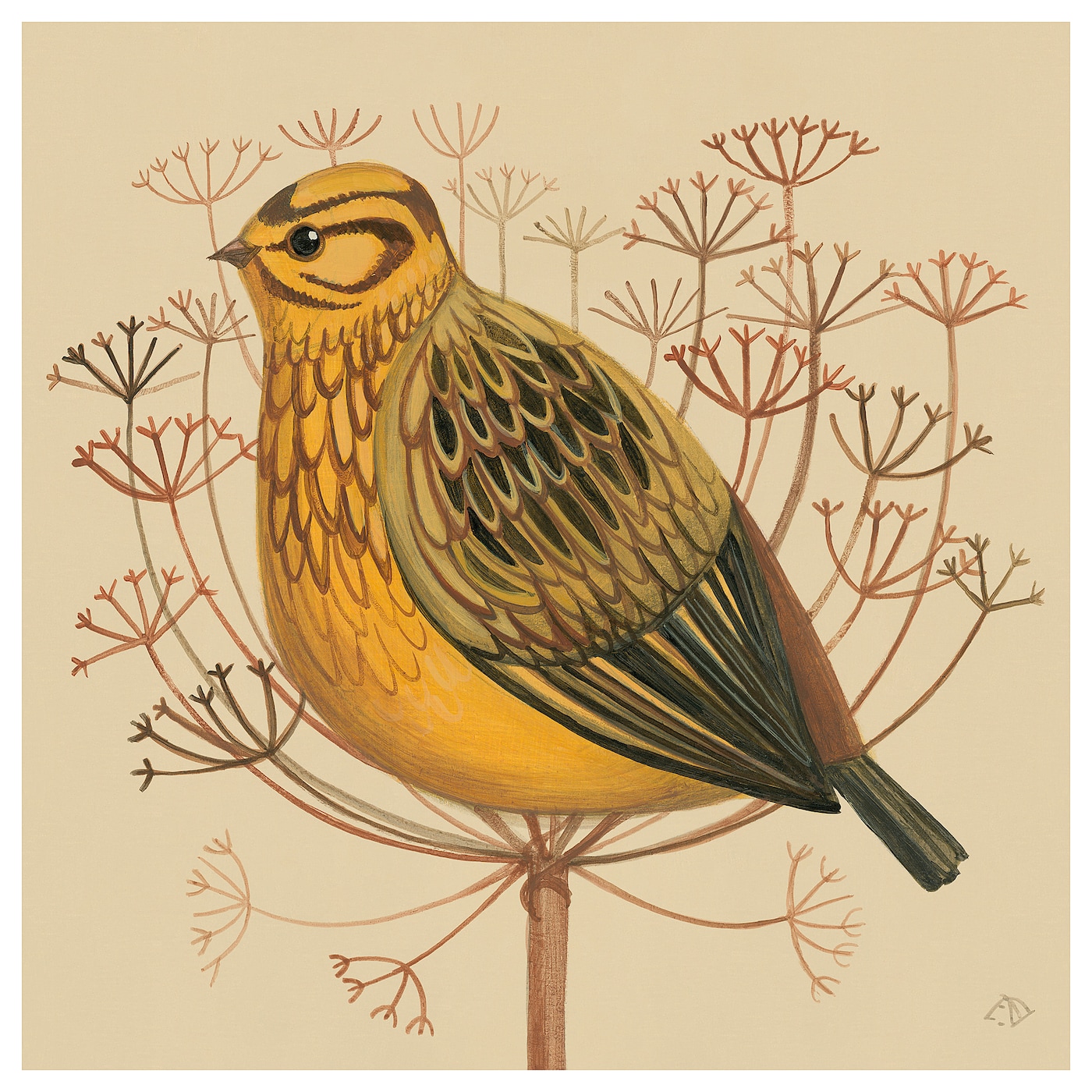 PJÄTTERYD picture yellowhammer - IKEA