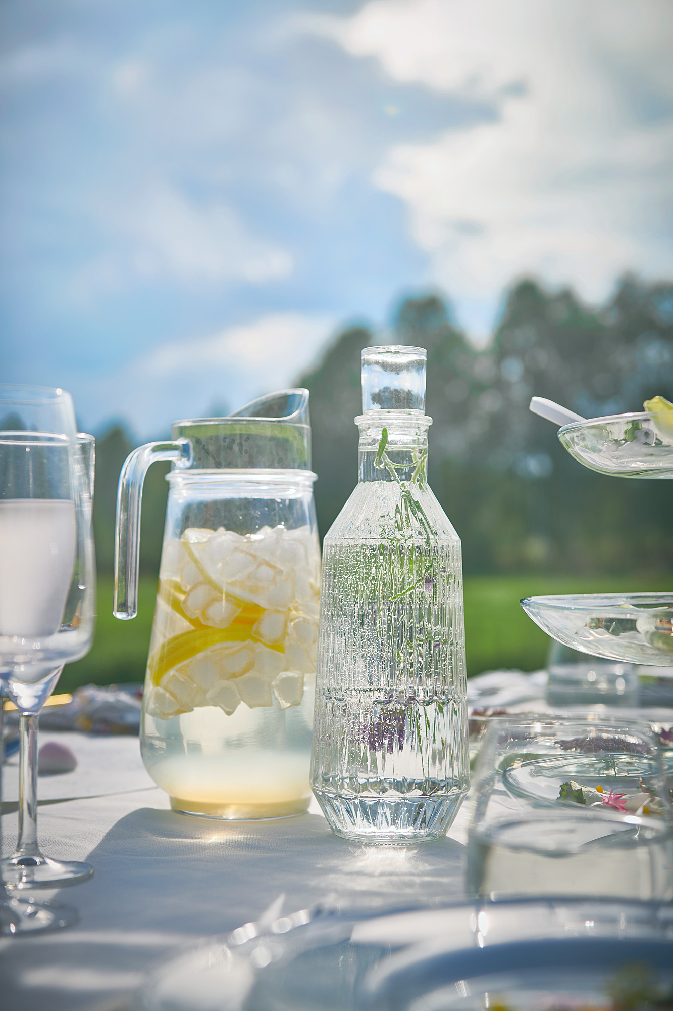 SÄLLSKAPLIG carafe with stopper clear glass/patterned - IKEA